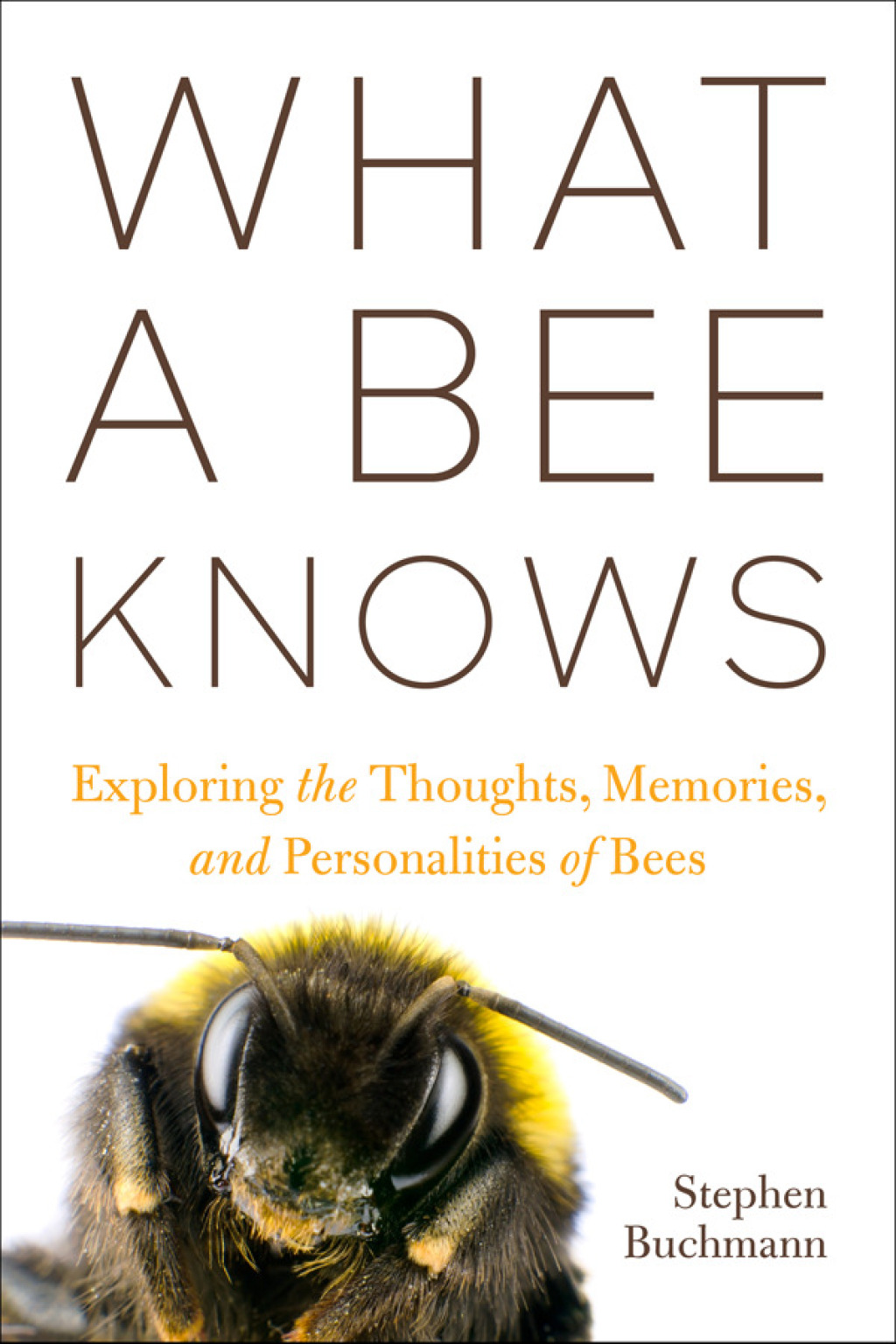 What a Bee Knows Exploring the Thoughts, Memories, and Personalities of Bees - (PDF/EPUB Version)