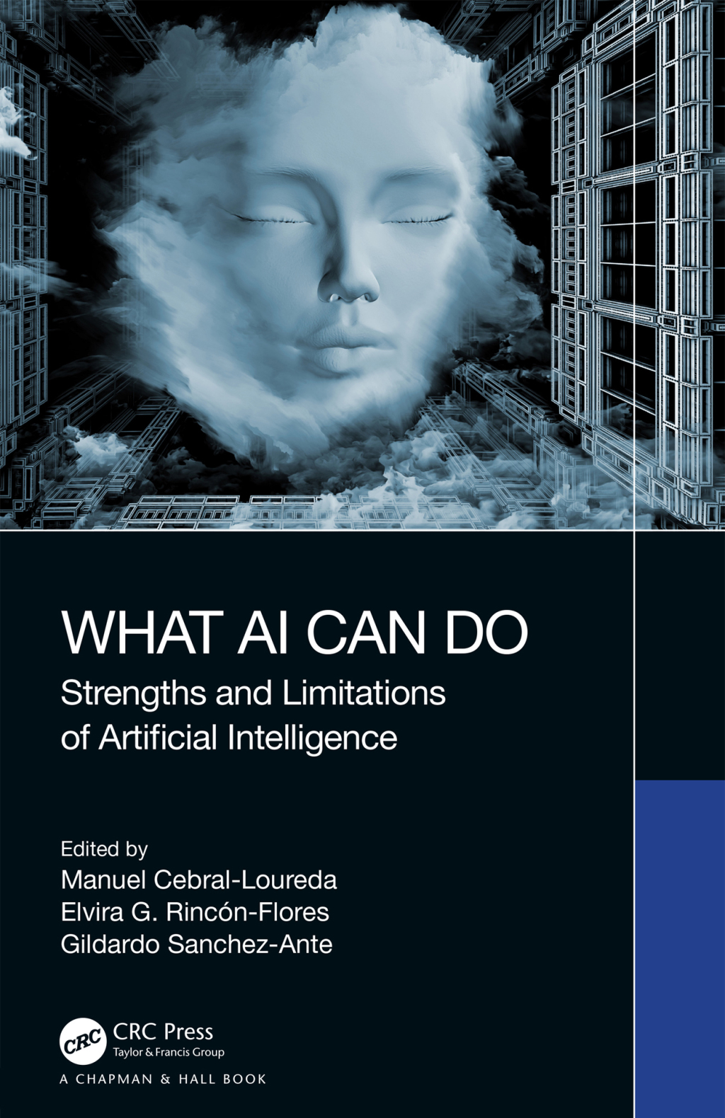 What AI Can Do Strengths and Limitations of Artificial Intelligence 1st ...