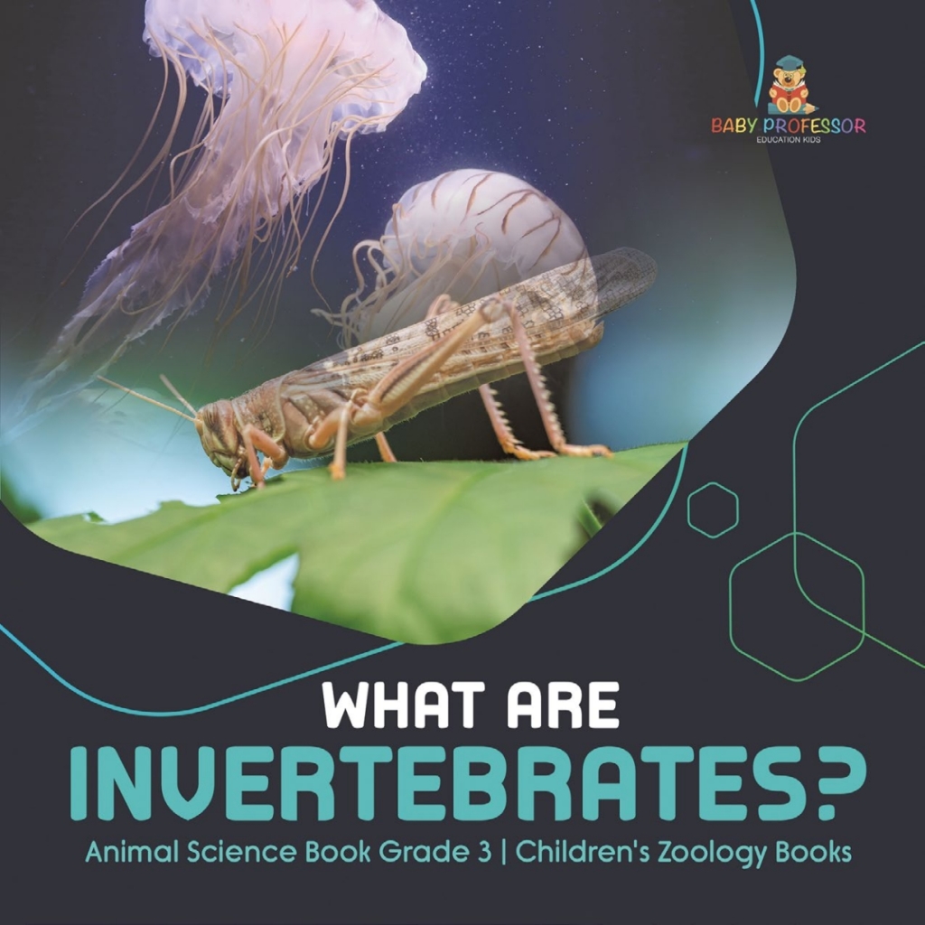 What Are Invertebrates? | Animal Science Book Grade 3 | Children's Zoology Books - (PDF/EPUB Version)
