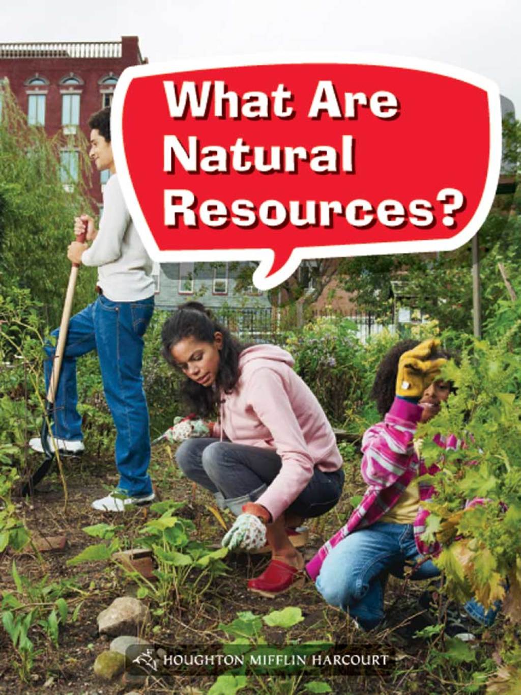 What Are Natural Resources? 1st Edition - (PDF/EPUB Version)