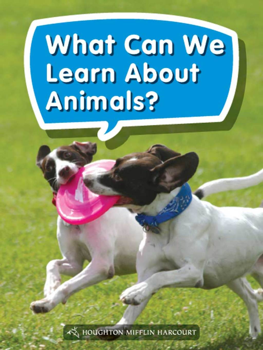 What Can We Learn About Animals? 1st Edition - (PDF/EPUB Version)
