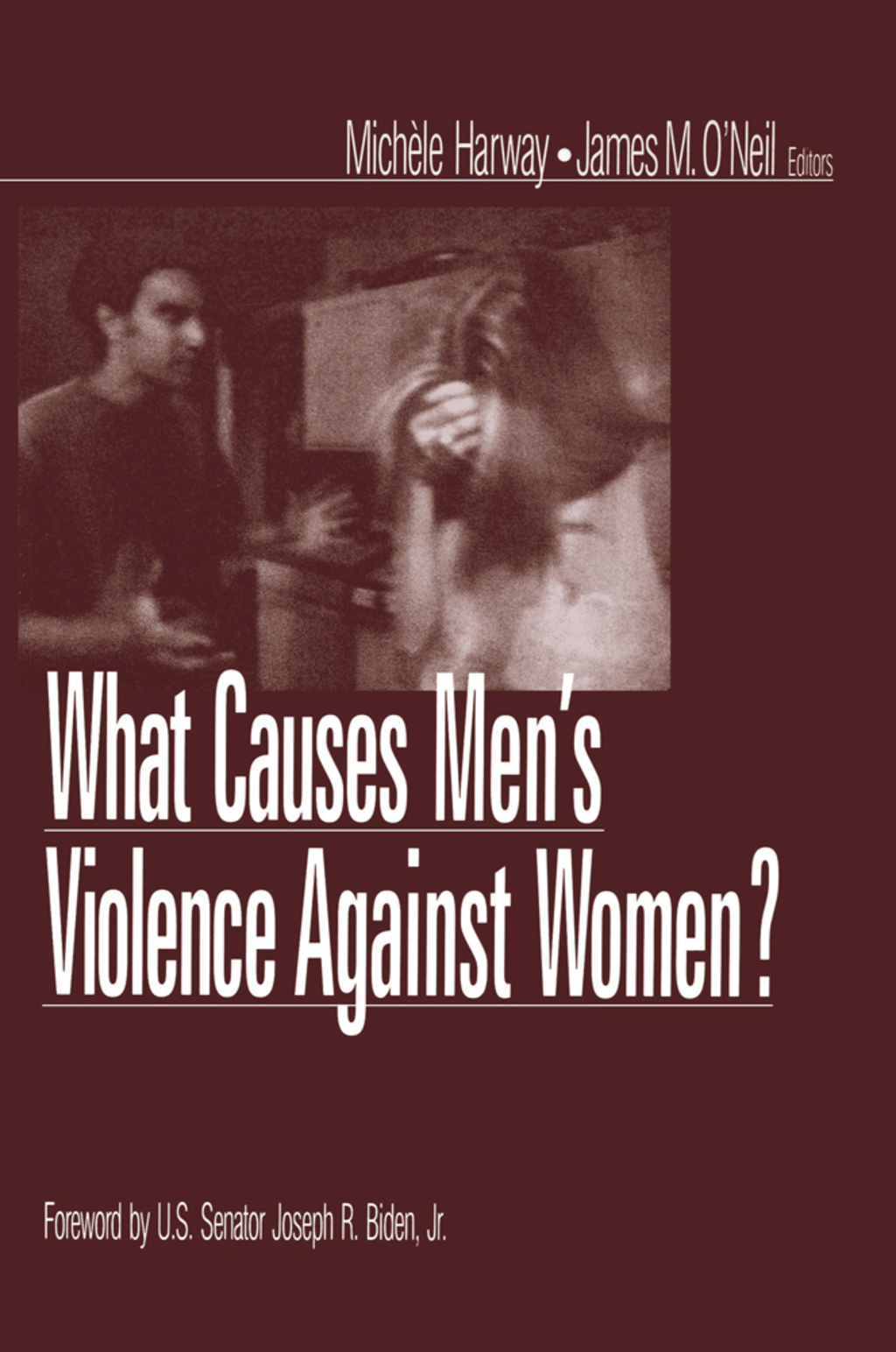 What Causes Menâ€²s Violence Against Women? 1st Edition â€“ PDF/EPUB Version Downloadable