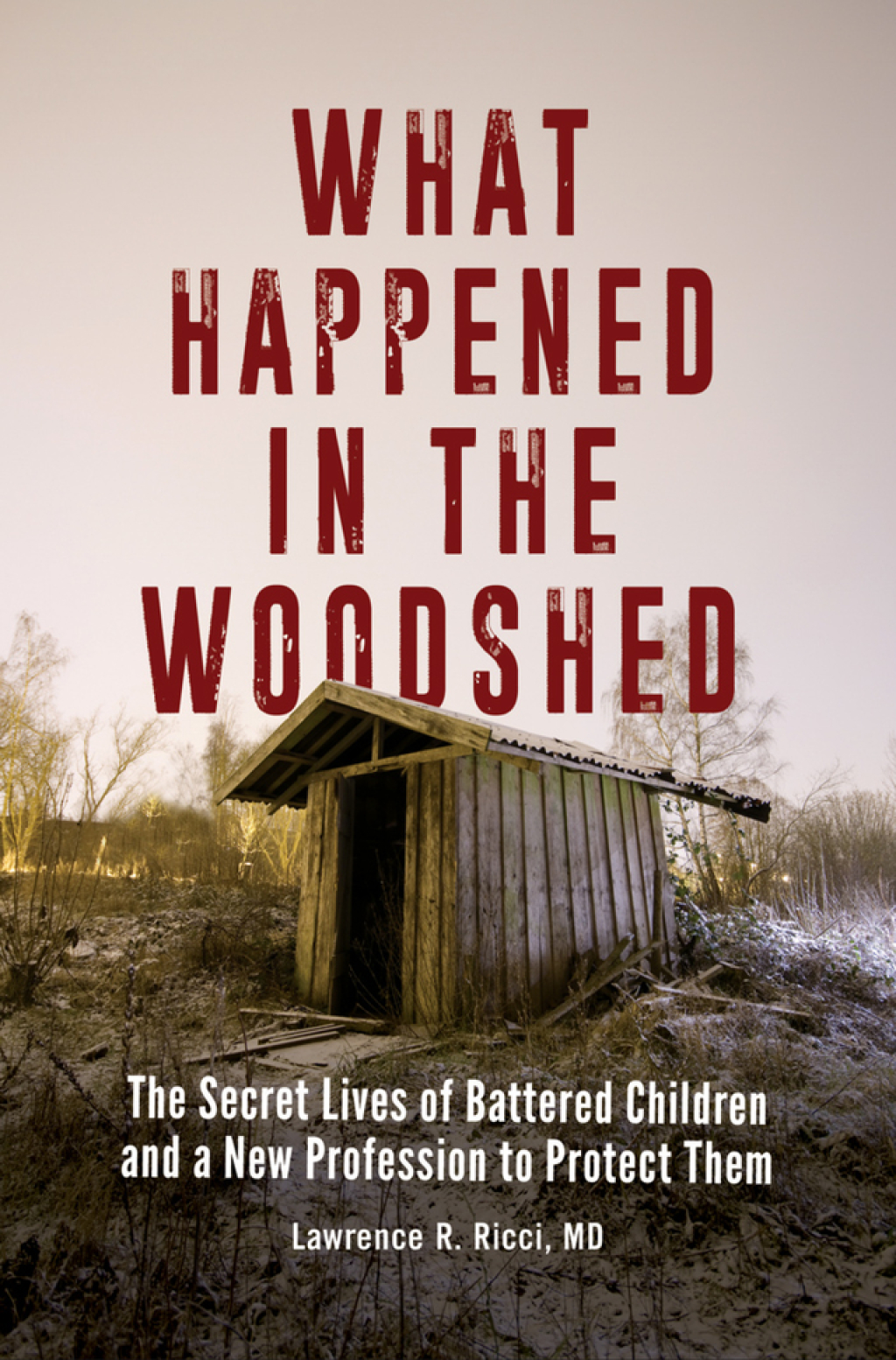 What Happened in the Woodshed The Secret Lives of Battered Children and a New Profession to Protect Them 1st Edition â€“ PDF/EPUB Version Downloadable