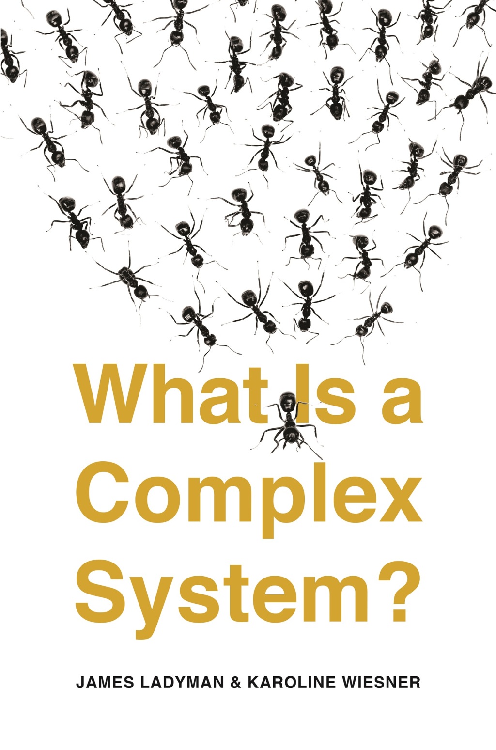 What Is a Complex System? - (PDF/EPUB Version)