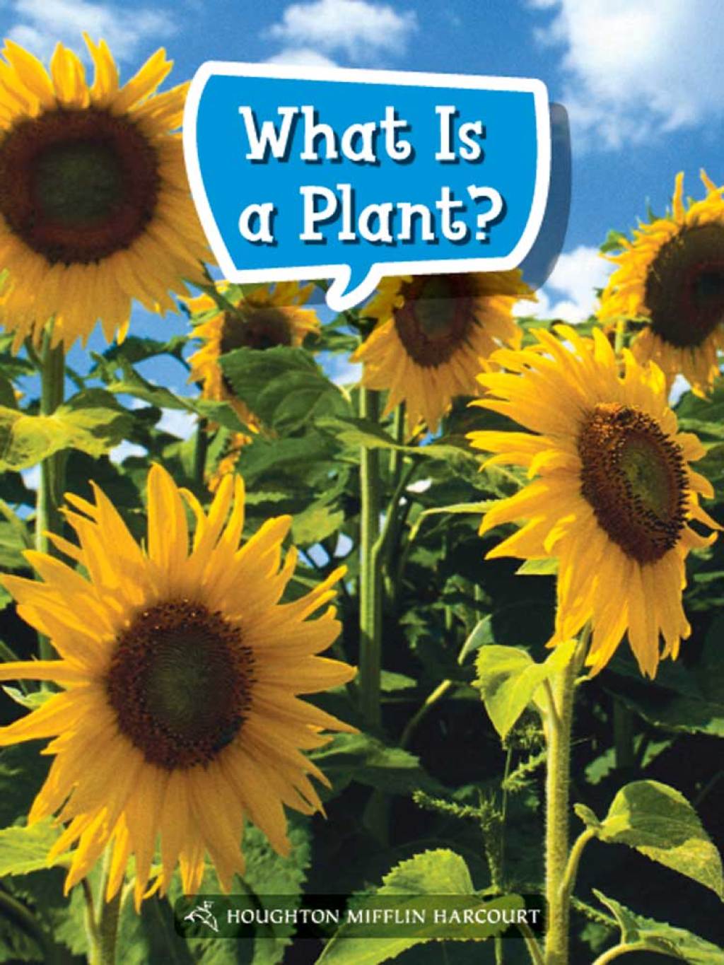What Is a Plant? 1st Edition - (PDF/EPUB Version)