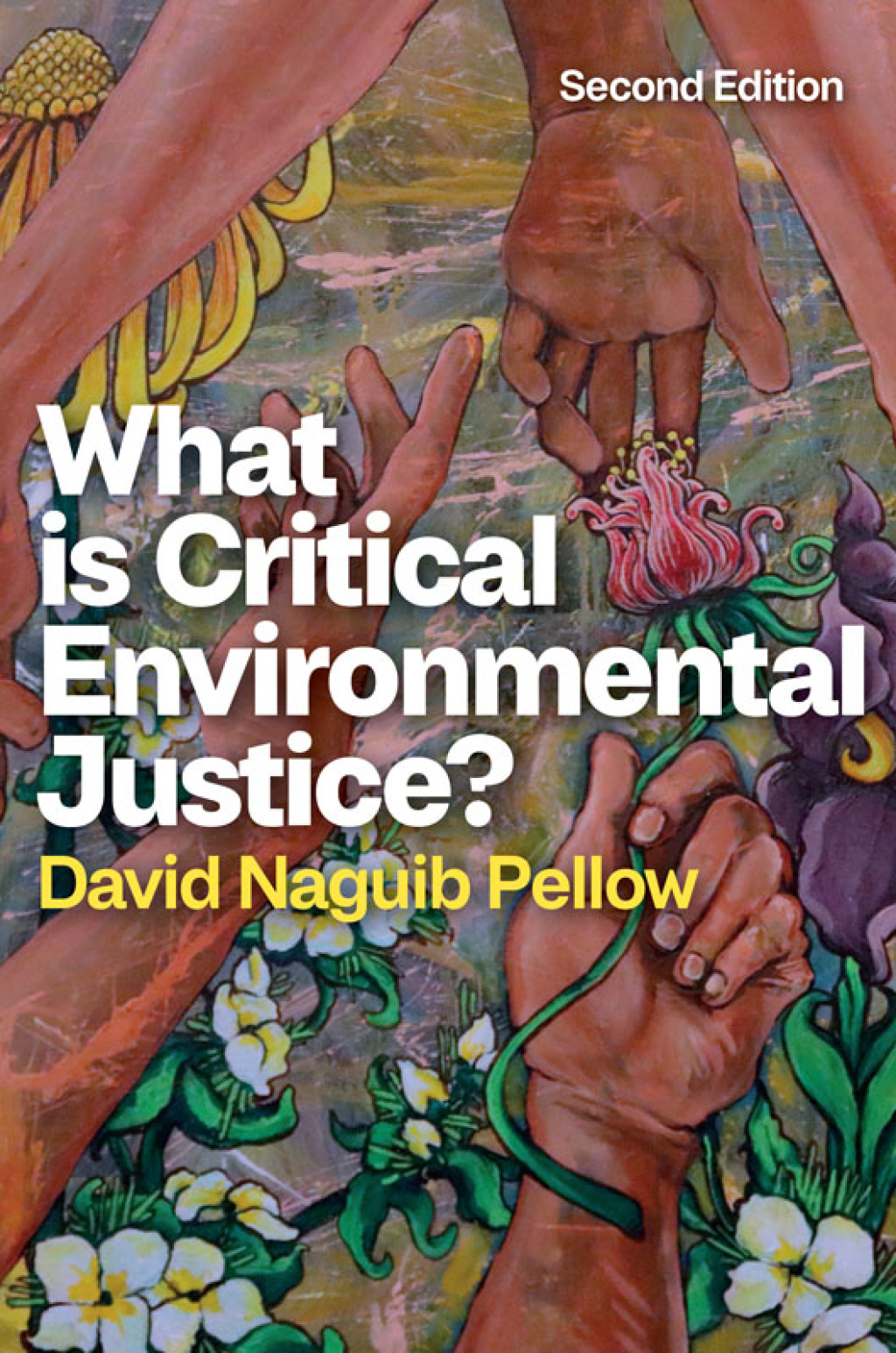 What is Critical Environmental Justice? 2nd Edition â€“ PDF/EPUB Version Downloadable