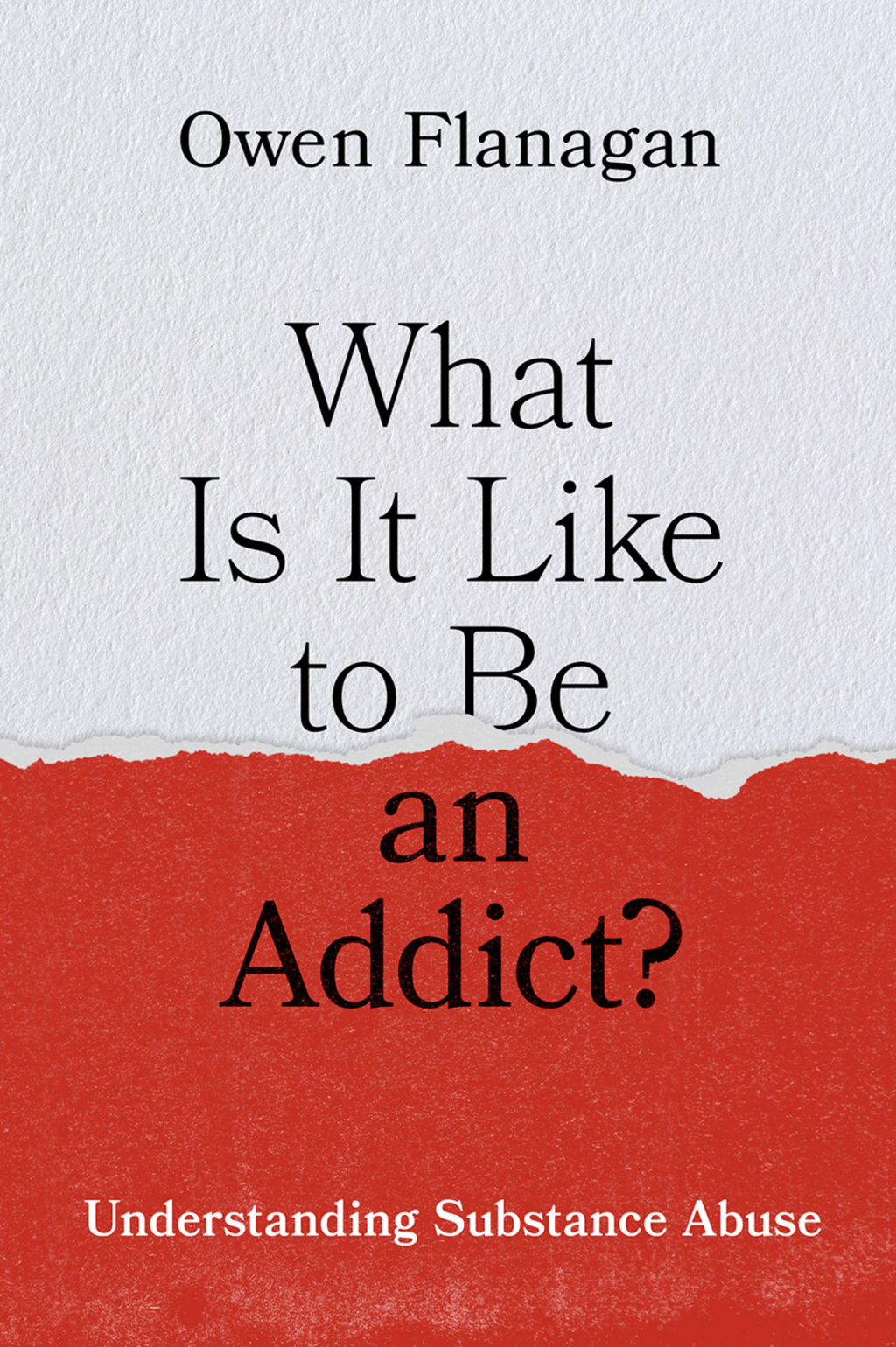 What Is It Like to Be an Addict? Understanding Substance Abuse 1st Edition - (PDF/EPUB Version)
