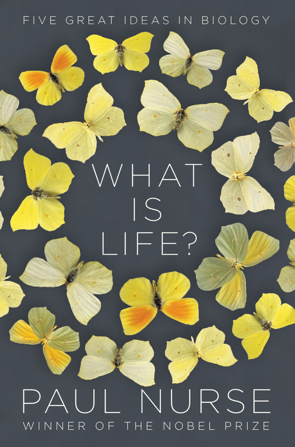 What Is Life?: Five Great Ideas in Biology - (PDF/EPUB Version)
