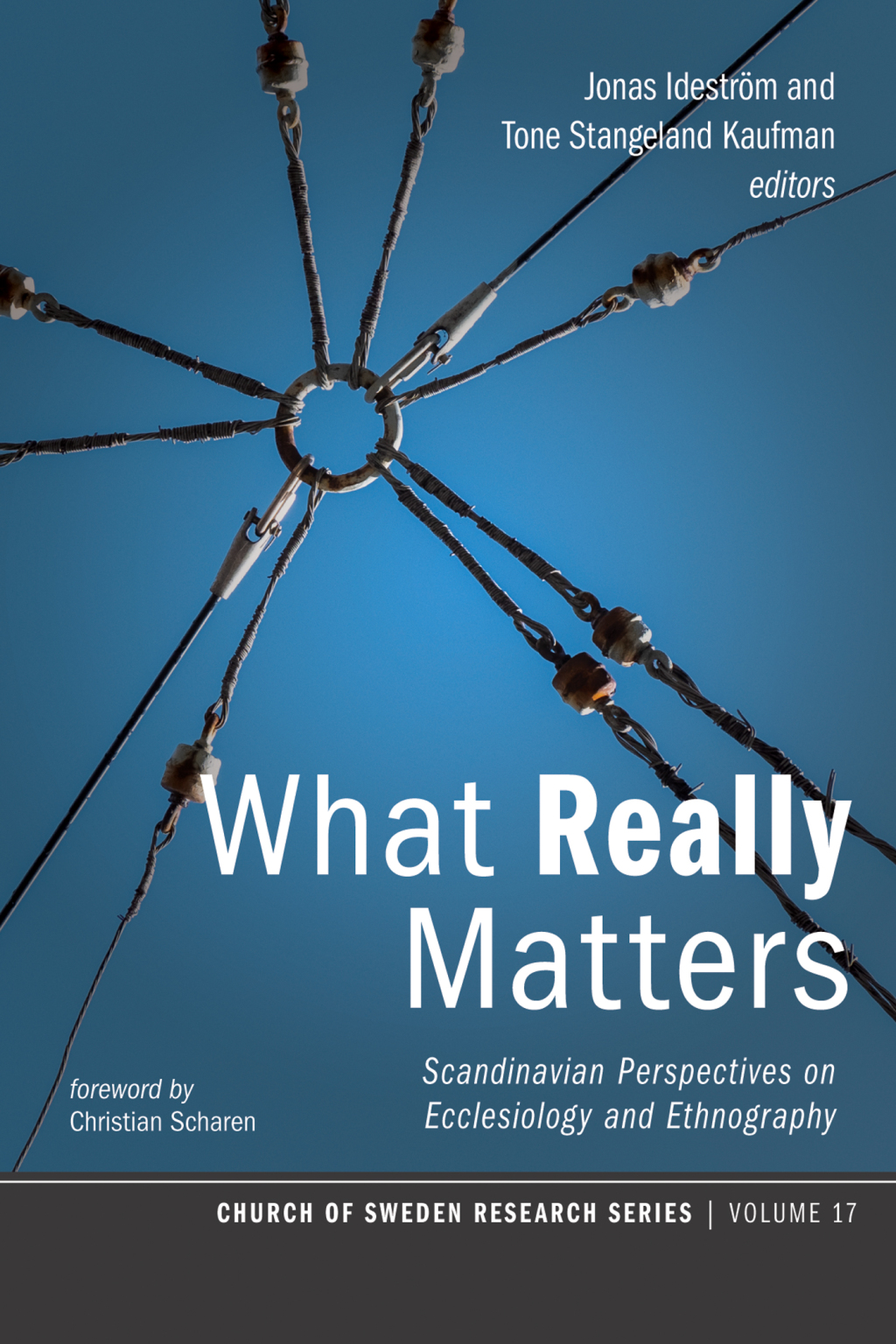 What Really Matters Scandinavian Perspectives on Ecclesiology and Ethnography  â€“ PDF/EPUB Version Downloadable