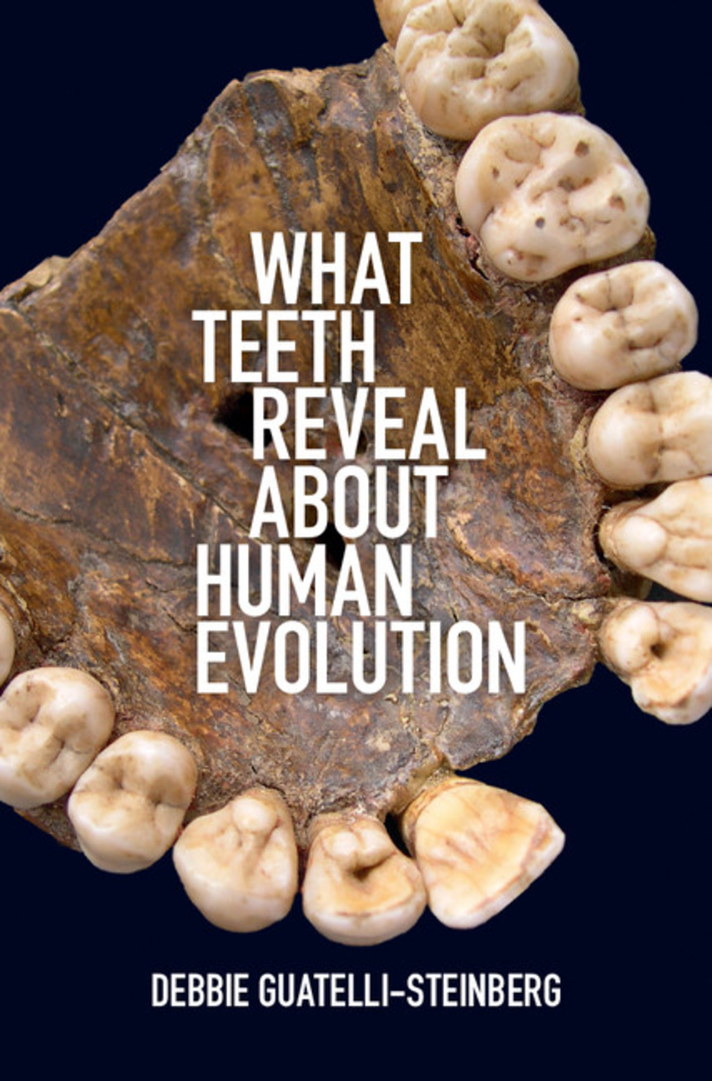 What Teeth Reveal about Human Evolution  â€“ PDF/EPUB Version Downloadable