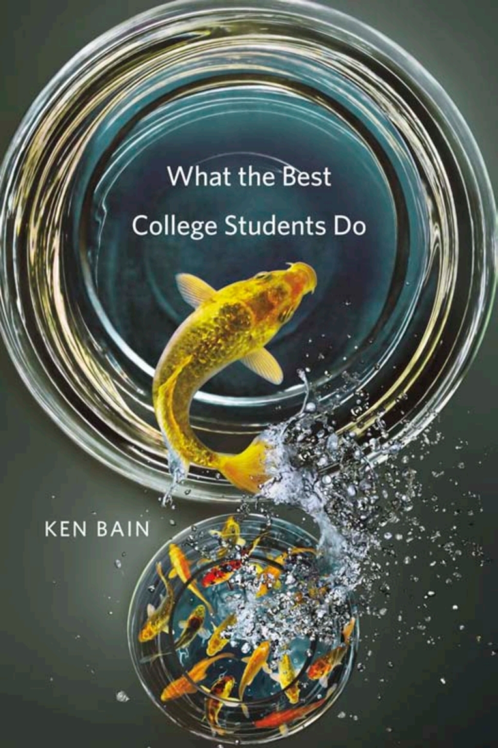 What the Best College Students Do - (PDF/EPUB Version)