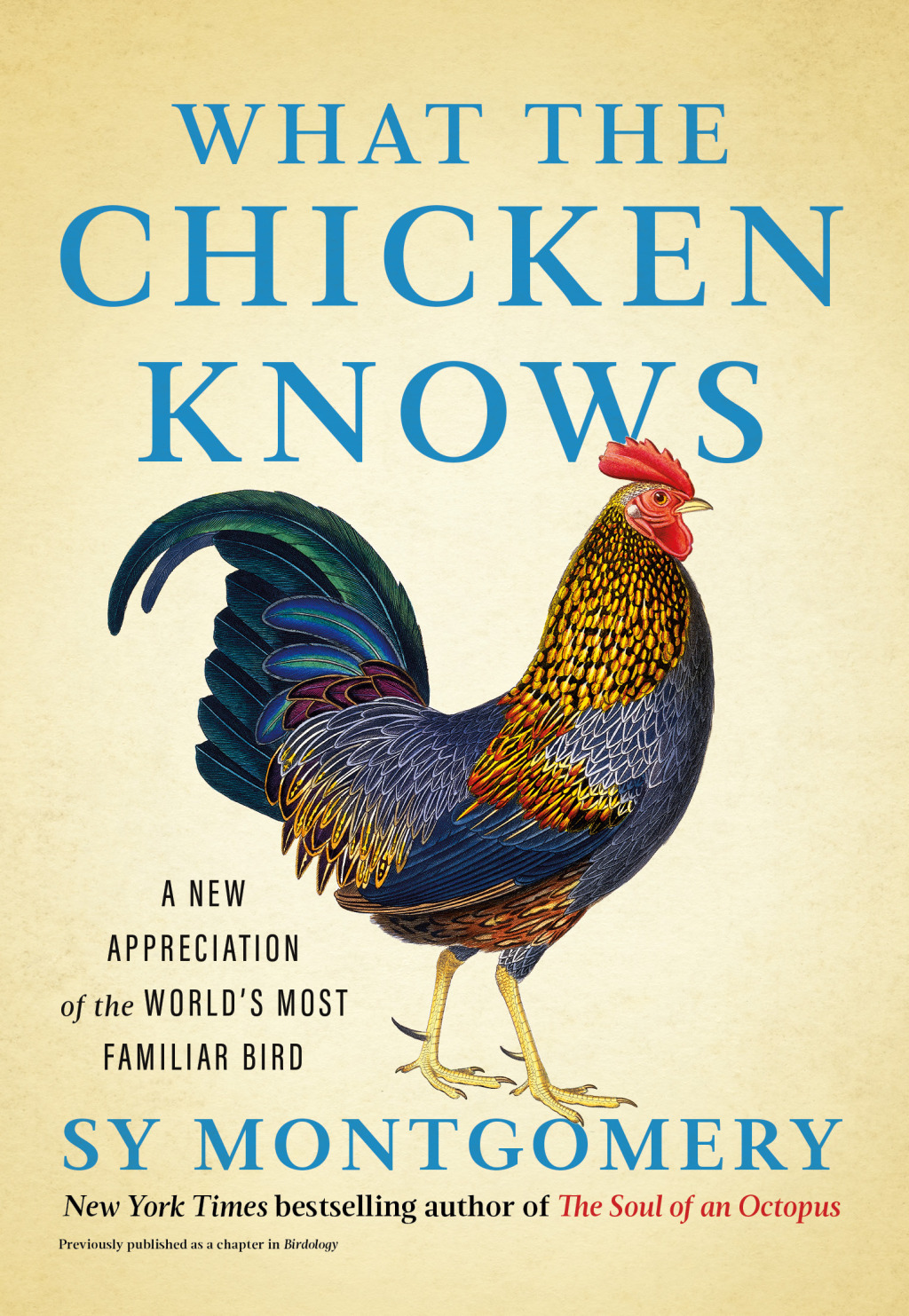 What the Chicken Knows A New Appreciation of the World's Most Familiar Bird - (PDF/EPUB Version)