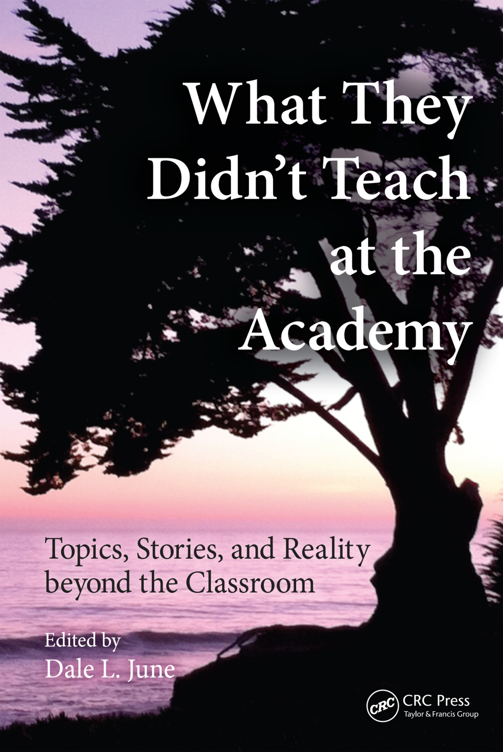 What They Didn't Teach at the Academy Topics, Stories, and Reality beyond the Classroom 1st Edition â€“ PDF/EPUB Version Downloadable