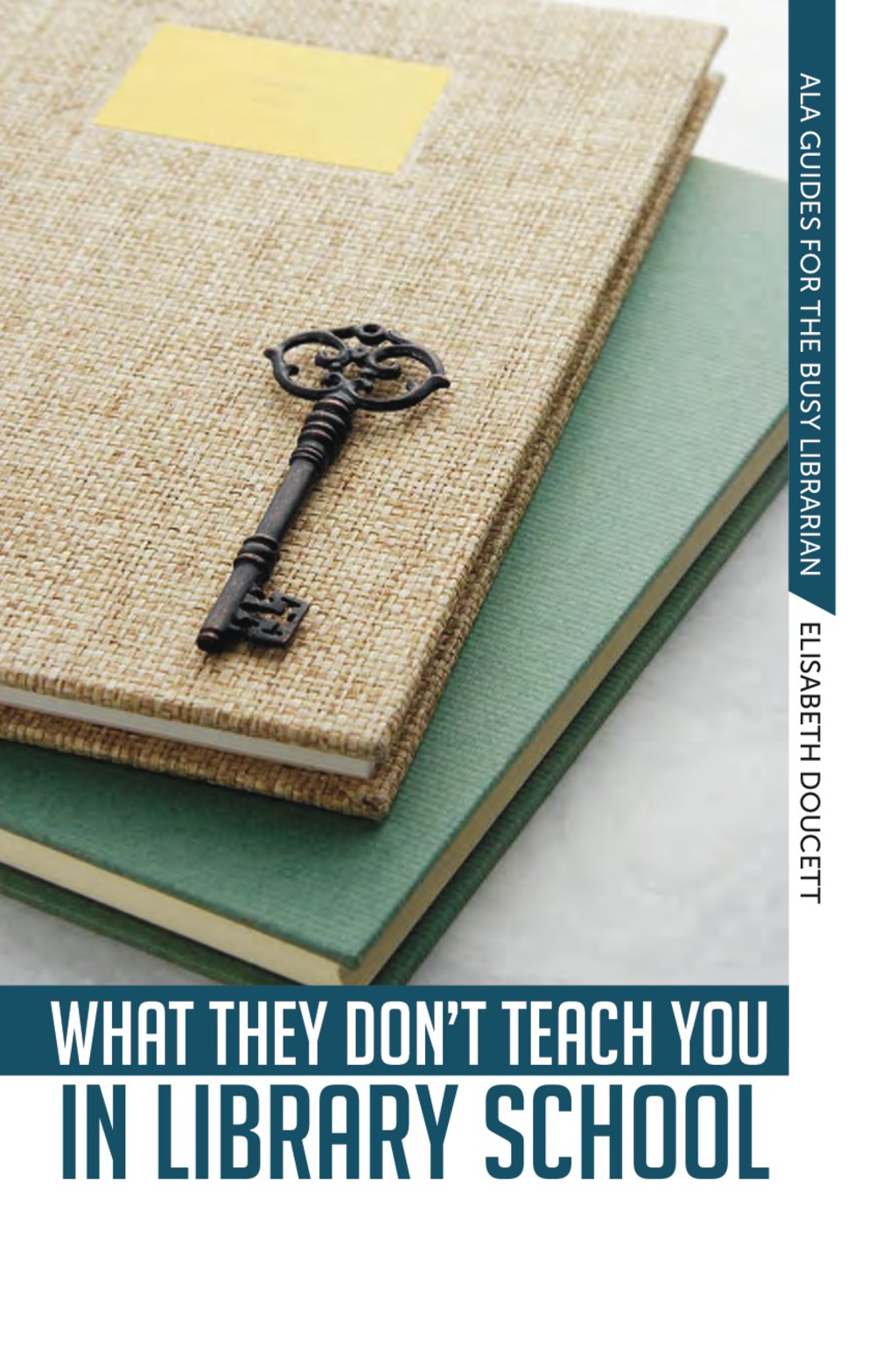 What They Don't Teach You in Library School  â€“ PDF/EPUB Version Downloadable