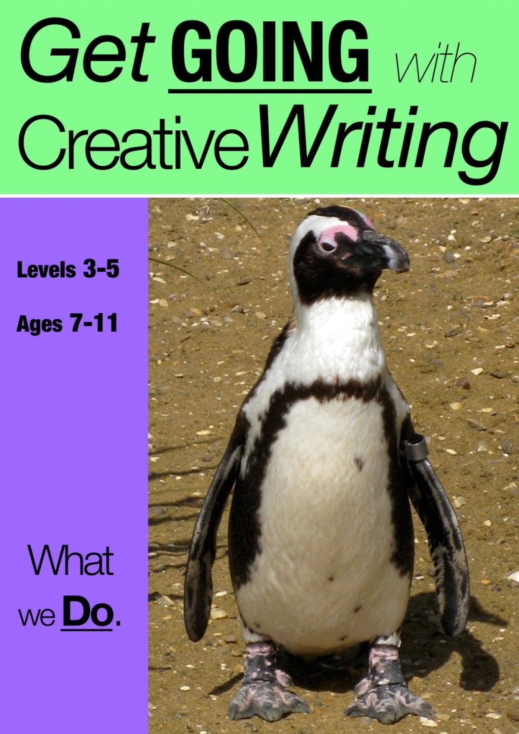 What We Do 3rd Edition - (PDF/EPUB Version)