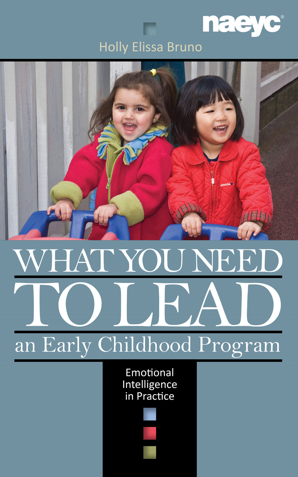 What You Need to Lead an Early Childhood Program Emotional Intelligence in Practice  â€“ PDF/EPUB Version Downloadable