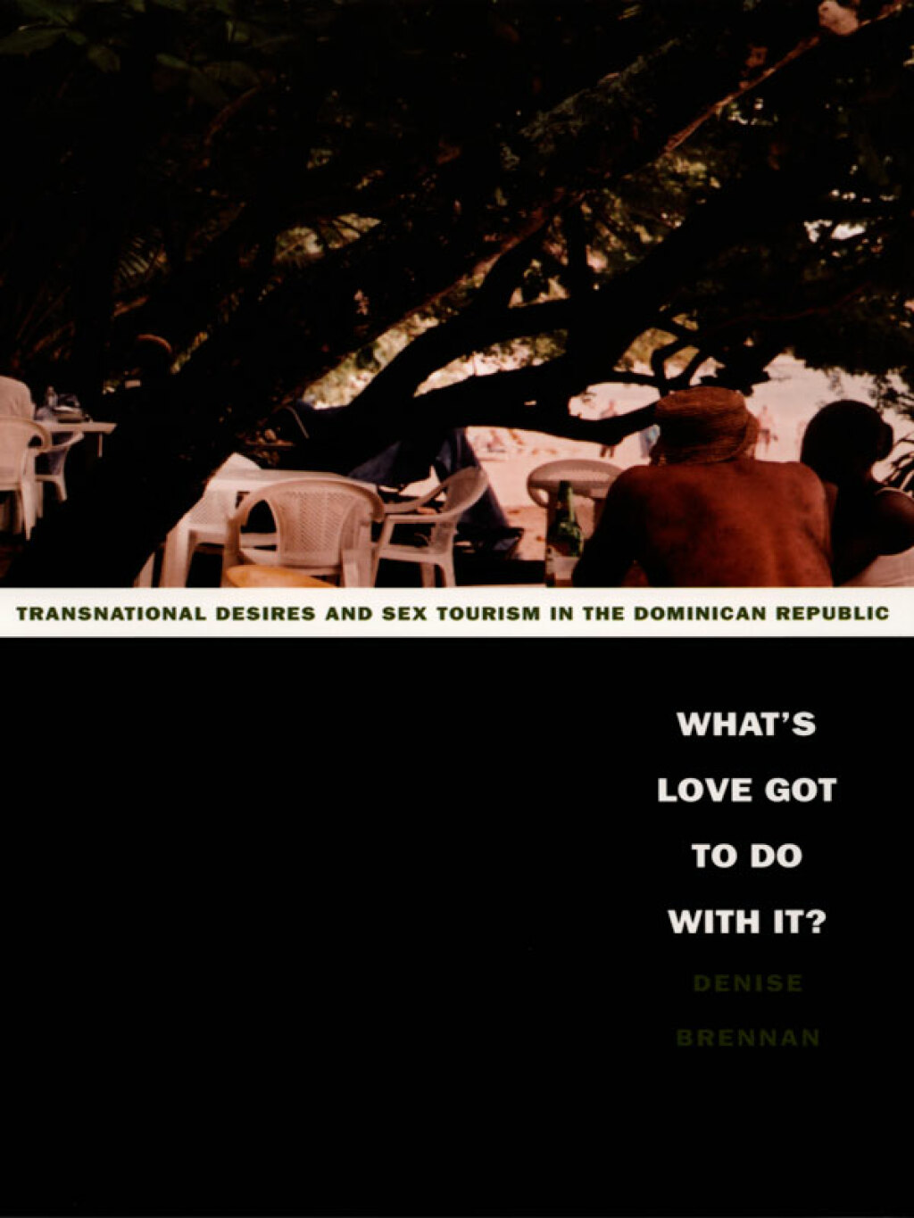 What's Love Got to Do with It? Transnational Desires and Sex Tourism in the Dominican Republic - (PDF/EPUB Version)