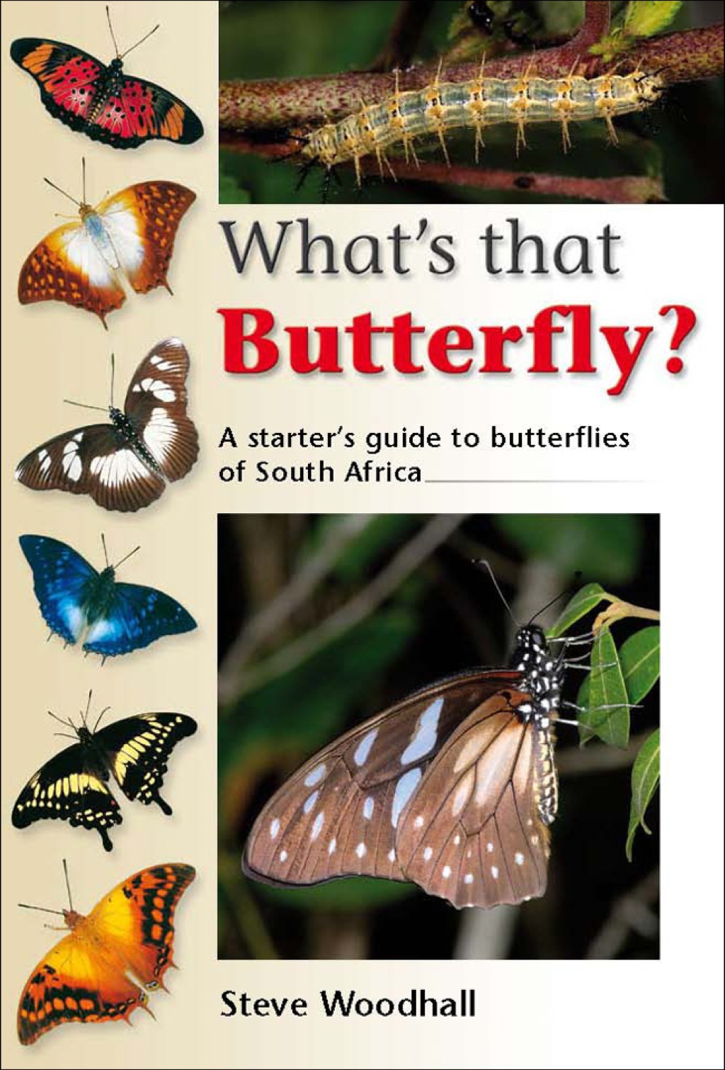 What's that Butterfly? A starterâ€™s guide to butterflies of South Africa 1st Edition - (PDF/EPUB Version)