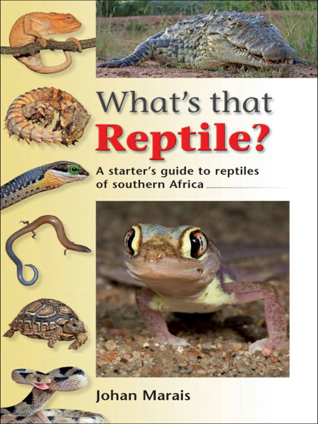 What's that Reptile? A starter's guide to reptiles of southern Africa 1st Edition - (PDF/EPUB Version)