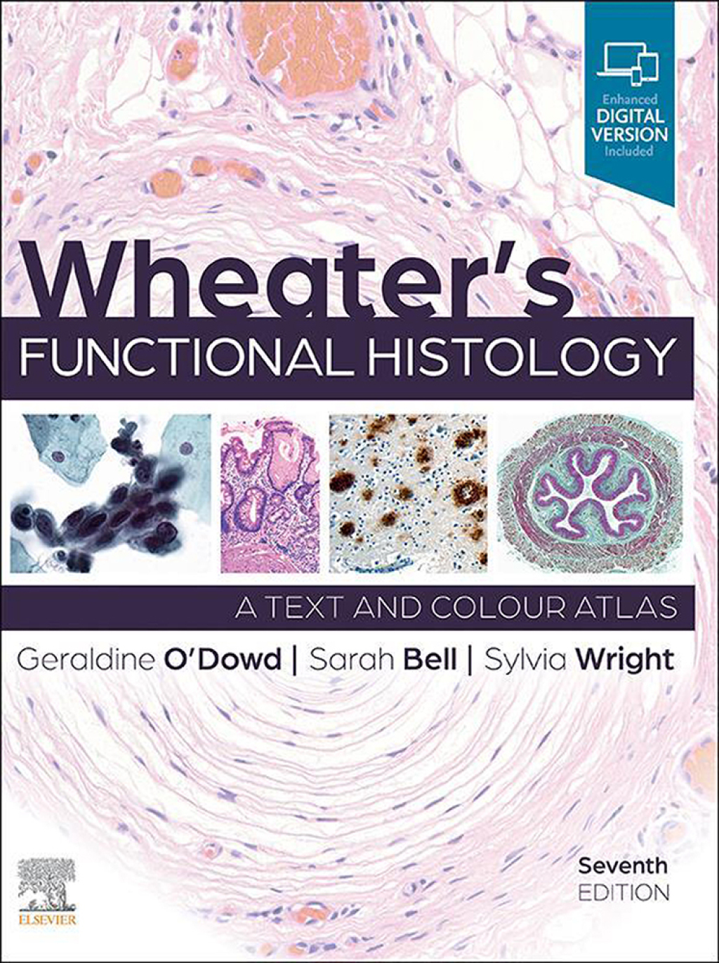 Wheater's Functional Histology A Text and Colour Atlas 7th Edition â€“ PDF/EPUB Version Downloadable