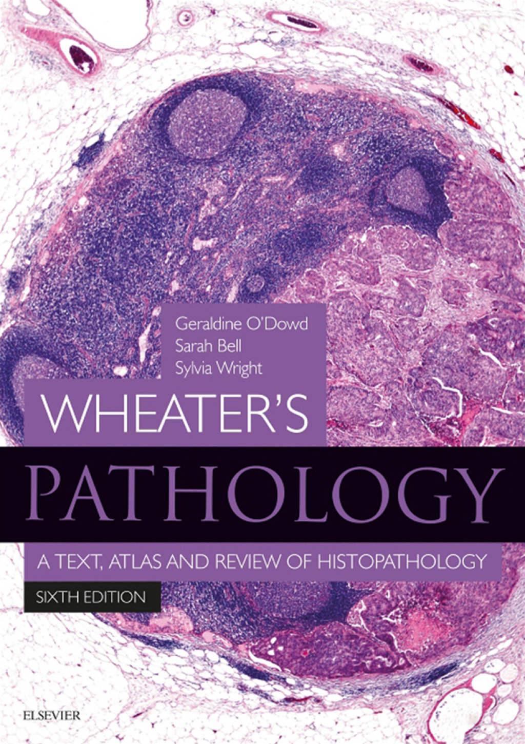 Wheater's Pathology - Inkling Enhanced E-Book A Text, Atlas and Review of Histopathology 6th Edition â€“ PDF/EPUB Version Downloadable