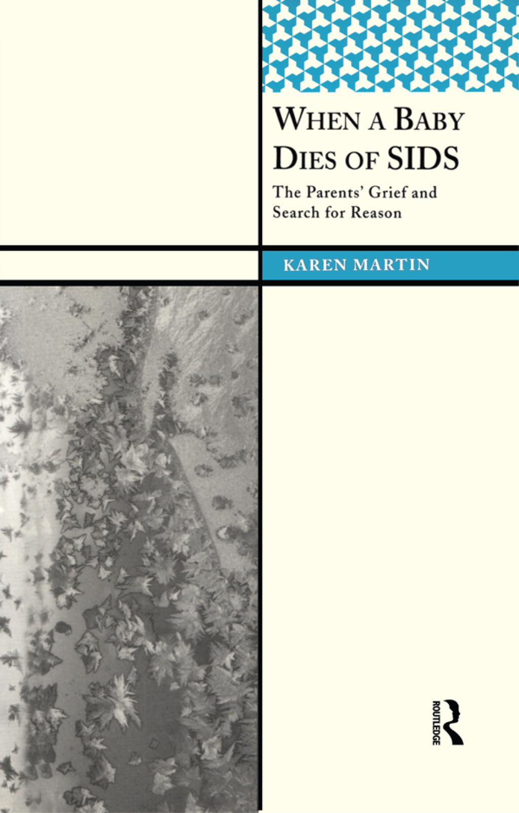 When a Baby Dies of SIDS The Parentsâ€™ Grief and Search for Reason 1st Edition â€“ PDF/EPUB Version Downloadable