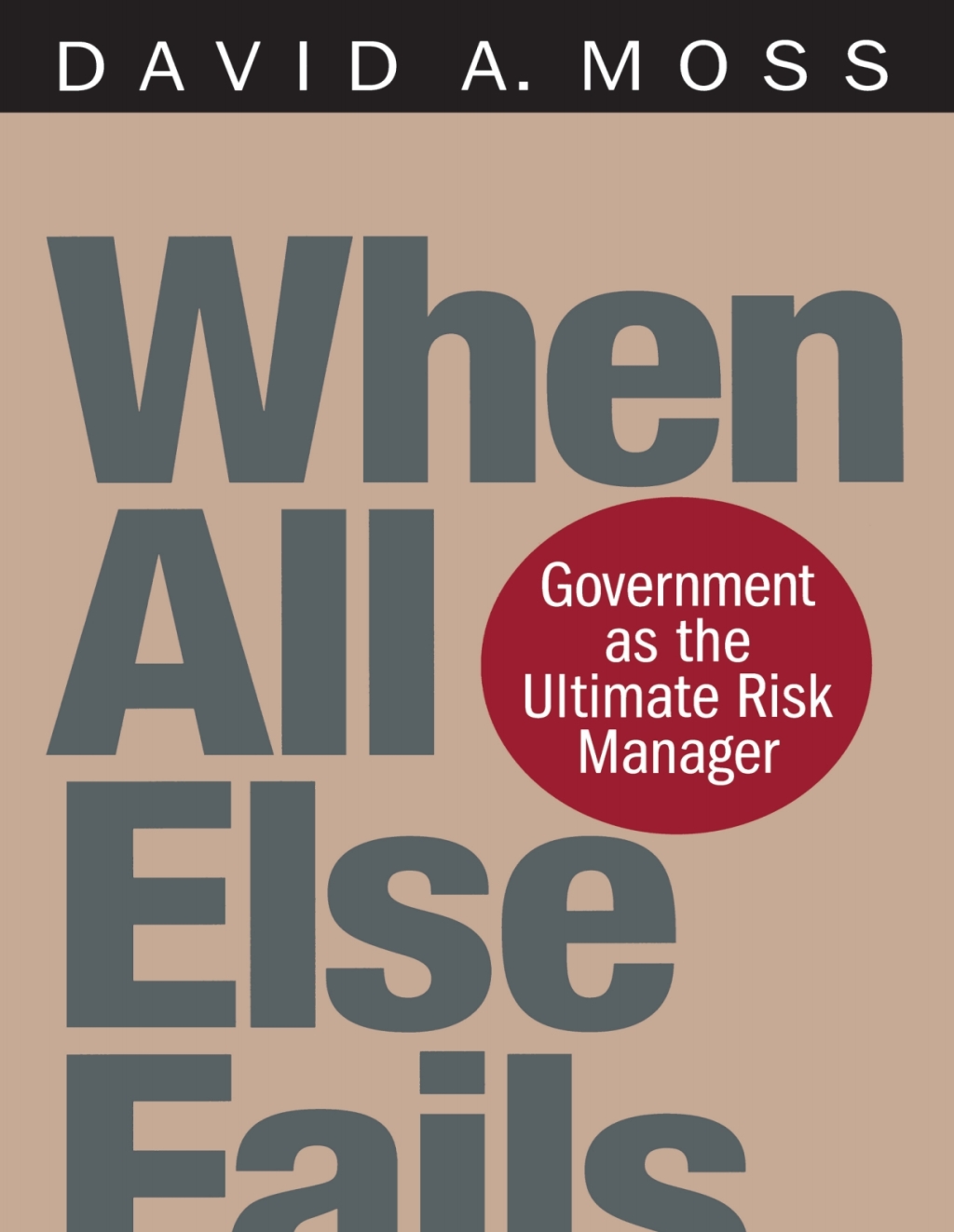 When All Else Fails Government as the Ultimate Risk Manager  â€“ PDF/EPUB Version Downloadable