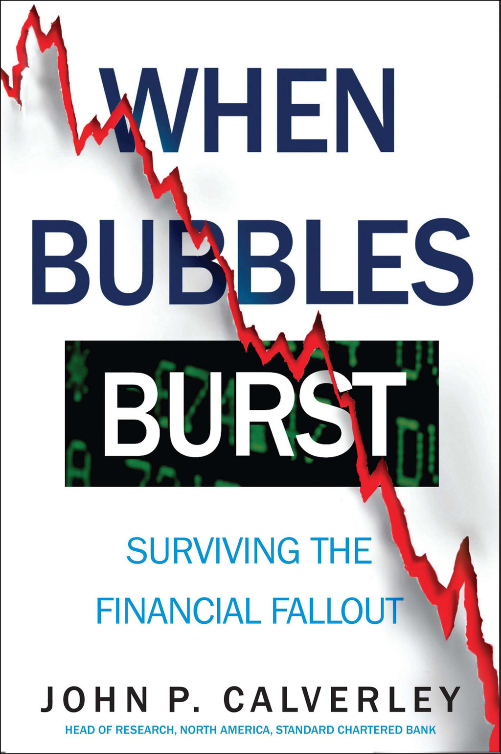 When Bubbles Burst Surviving the Financial Fallout - (PDF/EPUB Version)