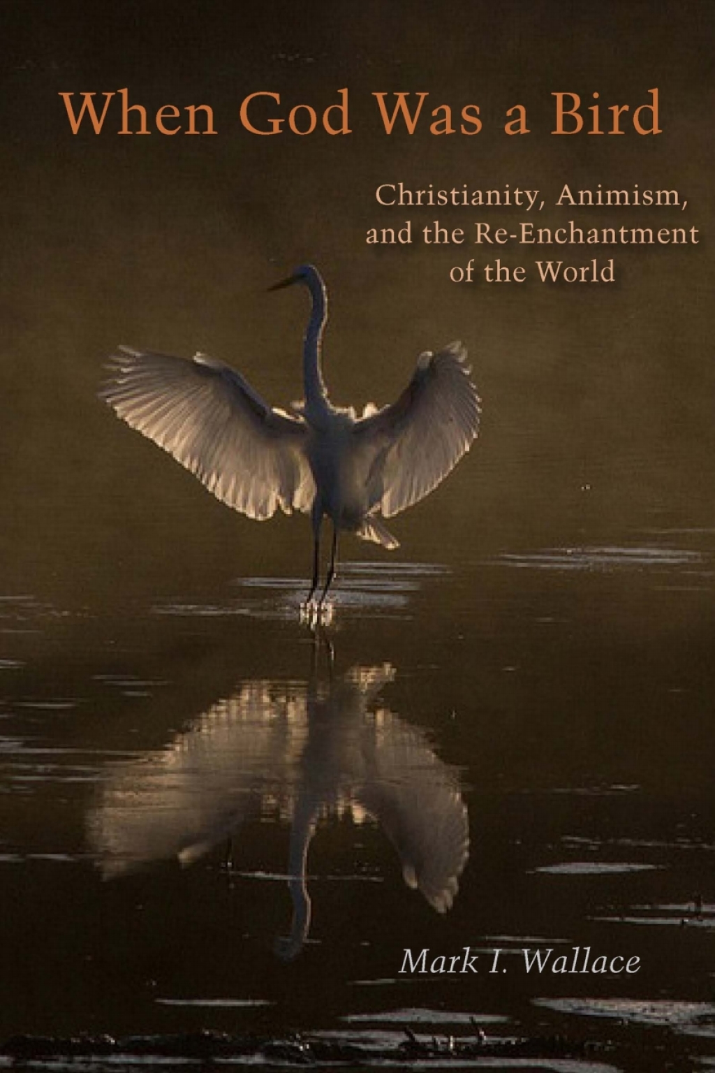 When God Was a Bird Christianity, Animism, and the Re-Enchantment of the World 1st Edition - (PDF/EPUB Version)