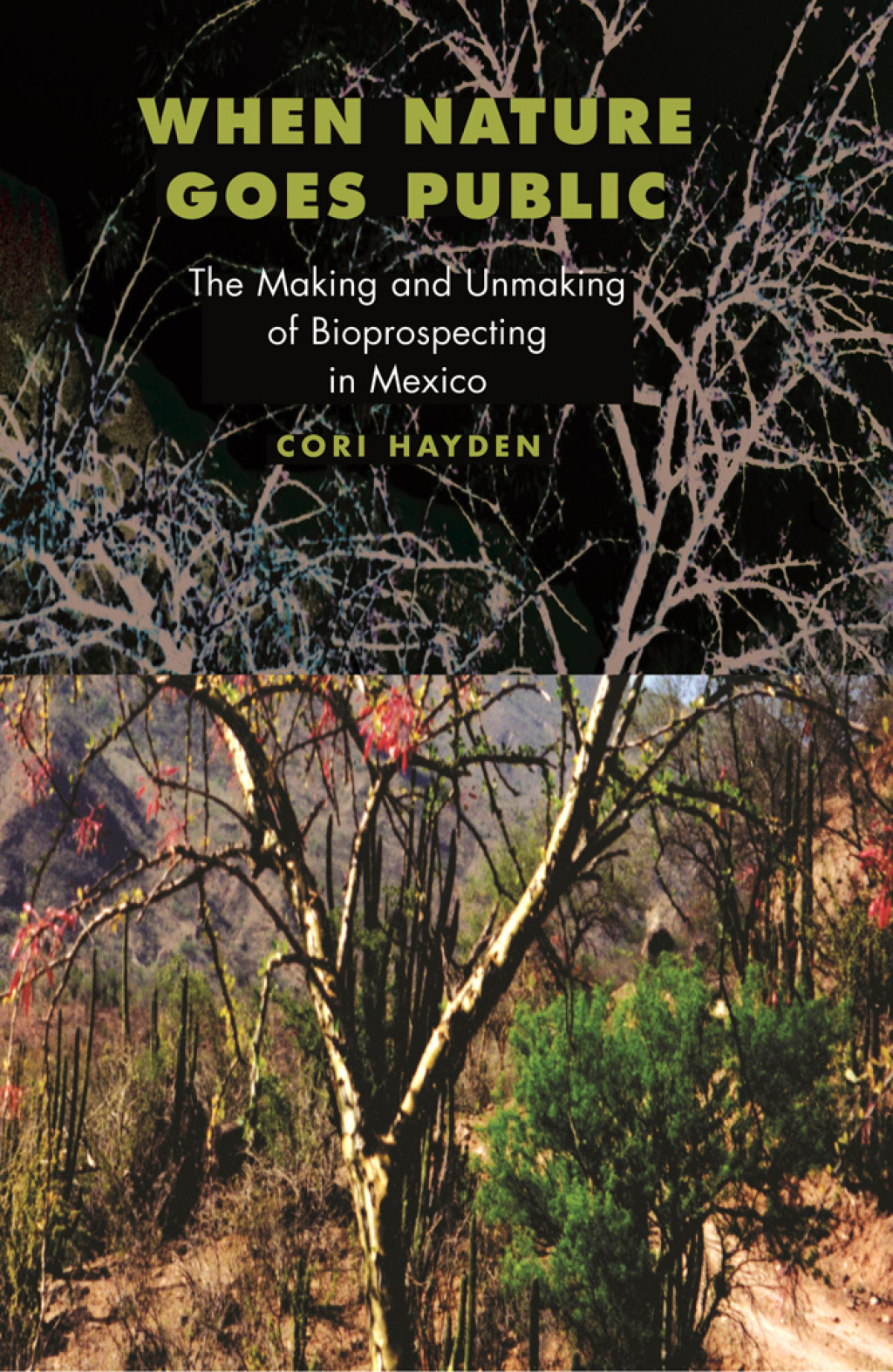 When Nature Goes Public The Making and Unmaking of Bioprospecting in Mexico  â€“ PDF/EPUB Version Downloadable