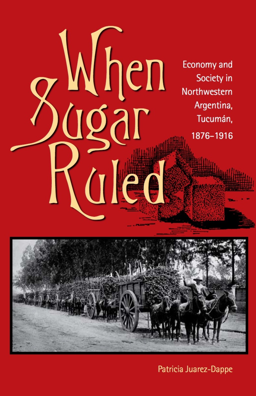 When Sugar Ruled Economy and Society in Northwestern Argentina, TucumÃ¡n, 1876â€“1916 1st Edition â€“ PDF/EPUB Version Downloadable