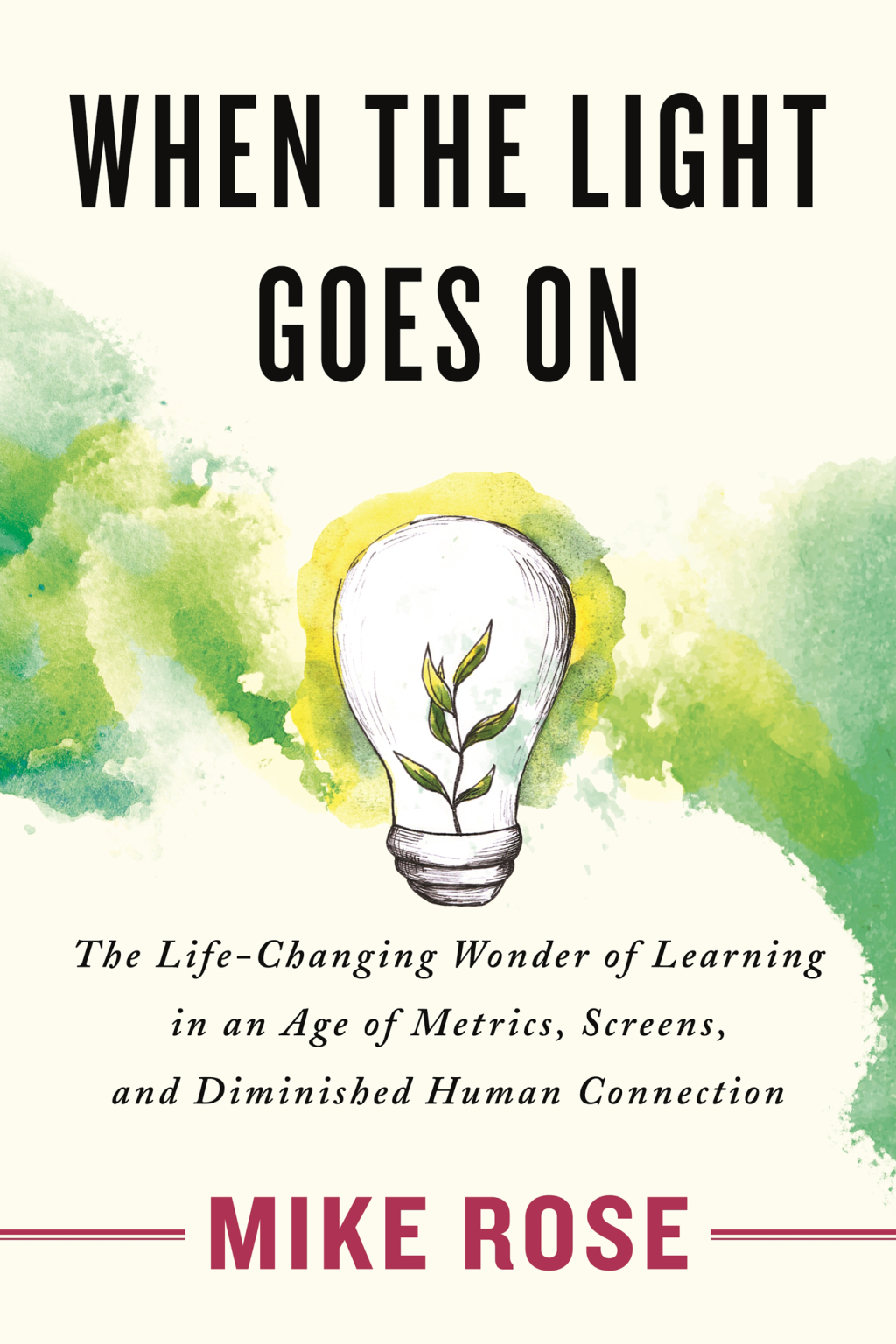 When the Light Goes On The Life-Changing Wonder of Learning in an Age of Metrics, Screens, and Diminished Human Connection - (PDF/EPUB Version)