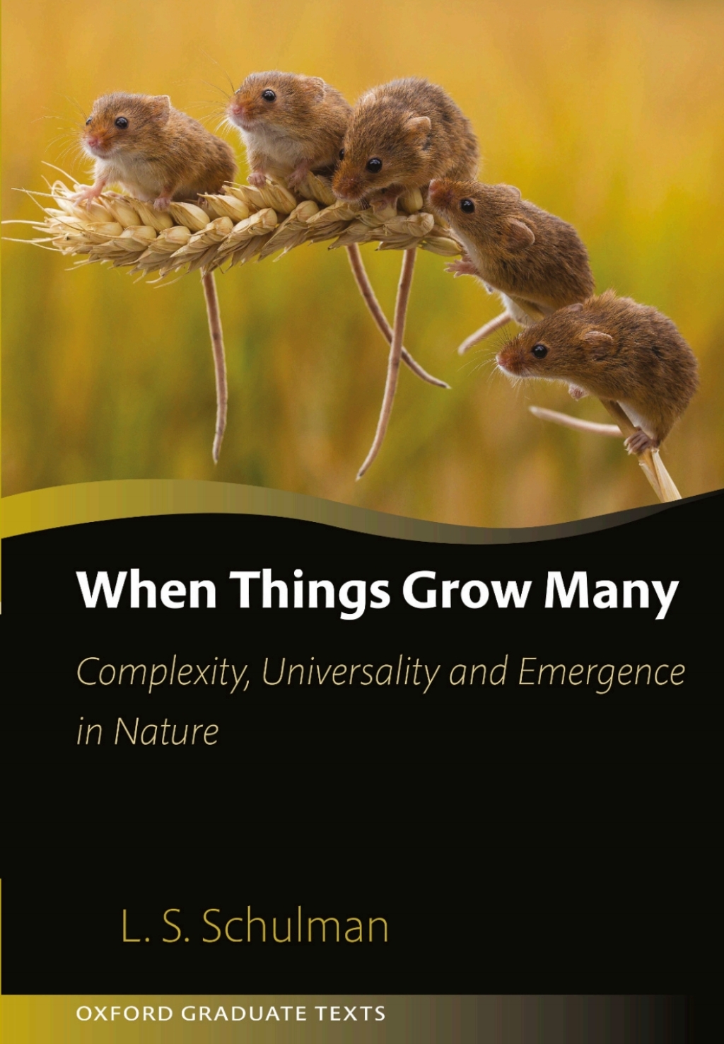 When Things Grow Many Complexity, Universality and Emergence in Nature  â€“ PDF/EPUB Version Downloadable