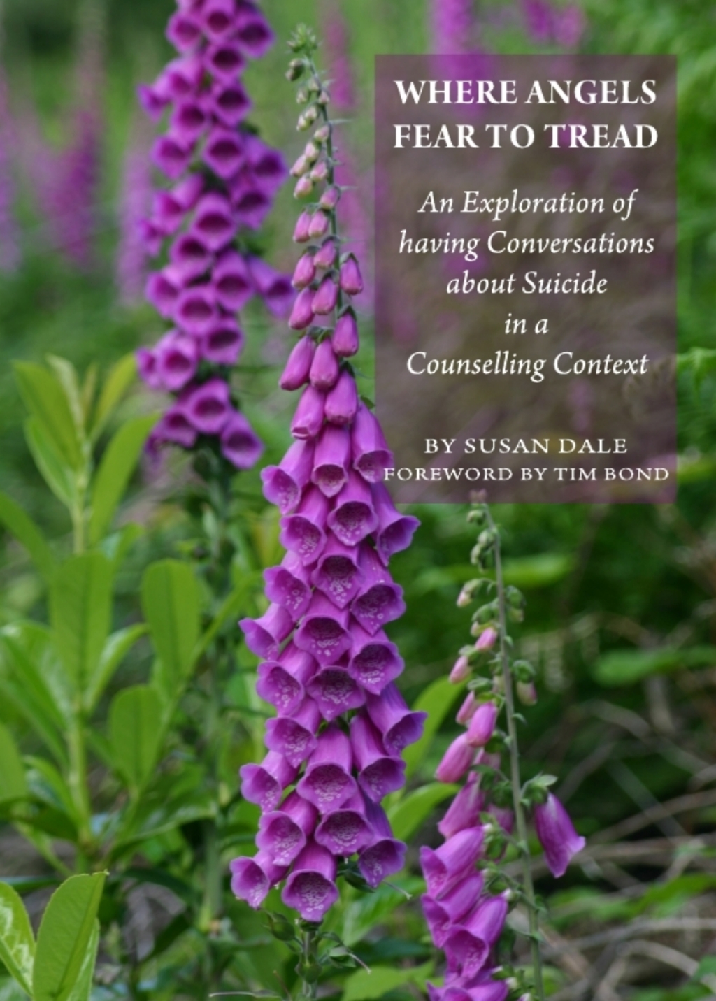 Where Angels Fear to Tread An Exploration of having Conversations about Suicide in a Counselling Context 1st Edition â€“ PDF/EPUB Version Downloadable