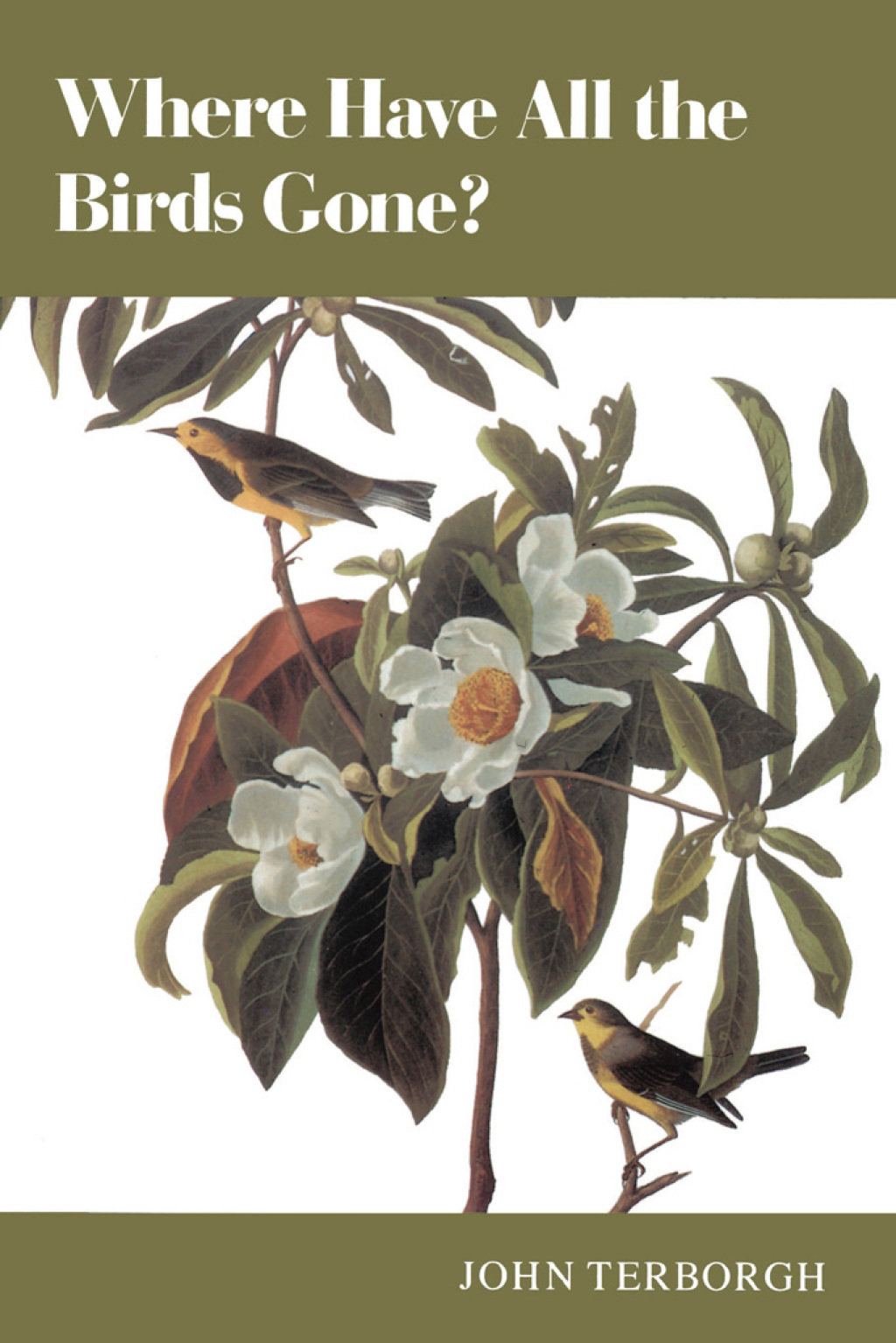 Where Have All the Birds Gone? Essays on the Biology and Conservation of Birds That Migrate to the American Tropics  â€“ PDF/EPUB Version Downloadable