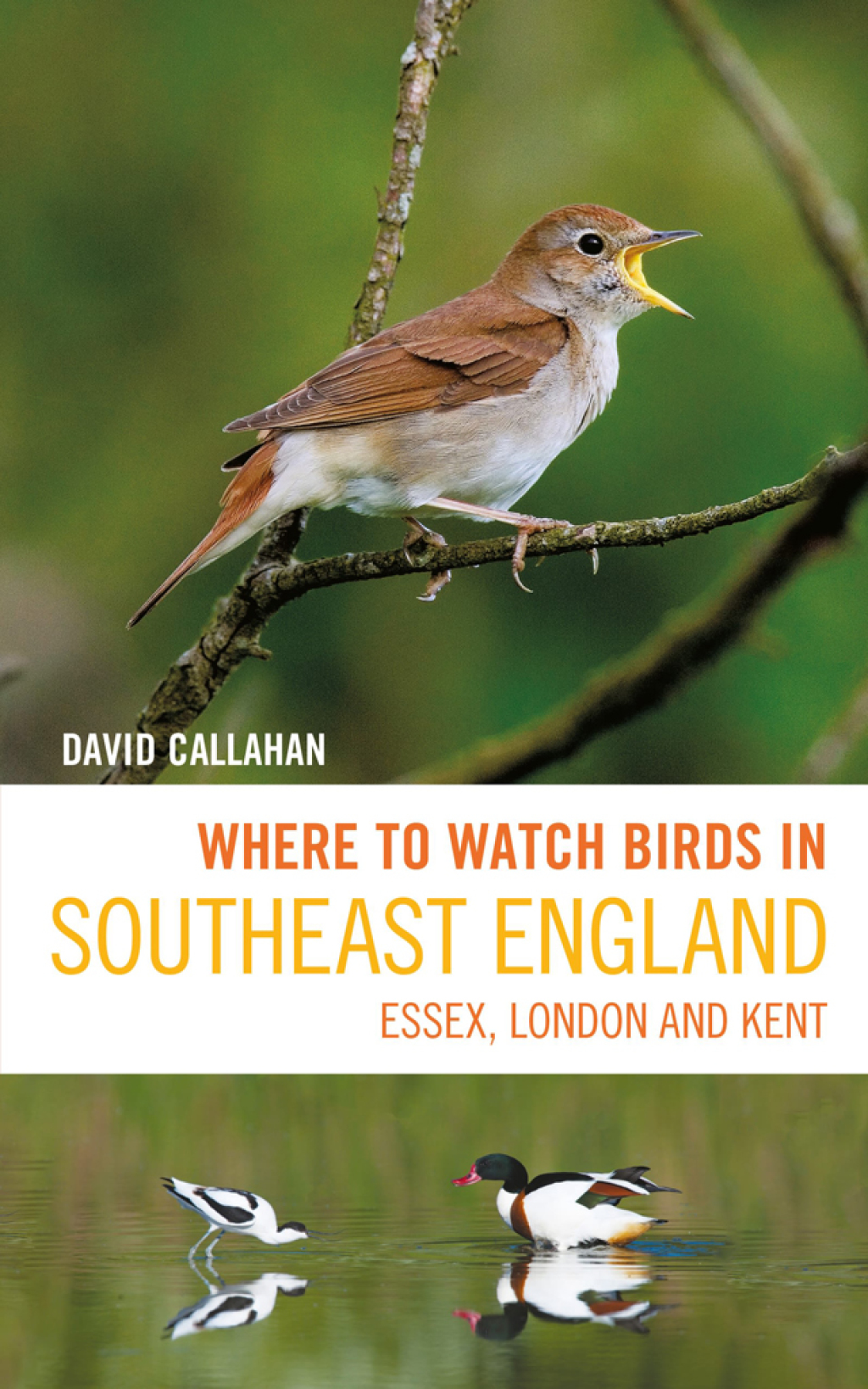Where to Watch Birds in Southeast England Essex, London and Kent 1st Edition â€“ PDF/EPUB Version Downloadable