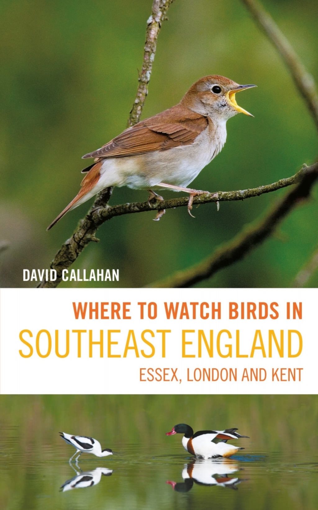 Where to Watch Birds in Southeast England Essex, London and Kent 1st Edition â€“ PDF/EPUB Version Downloadable
