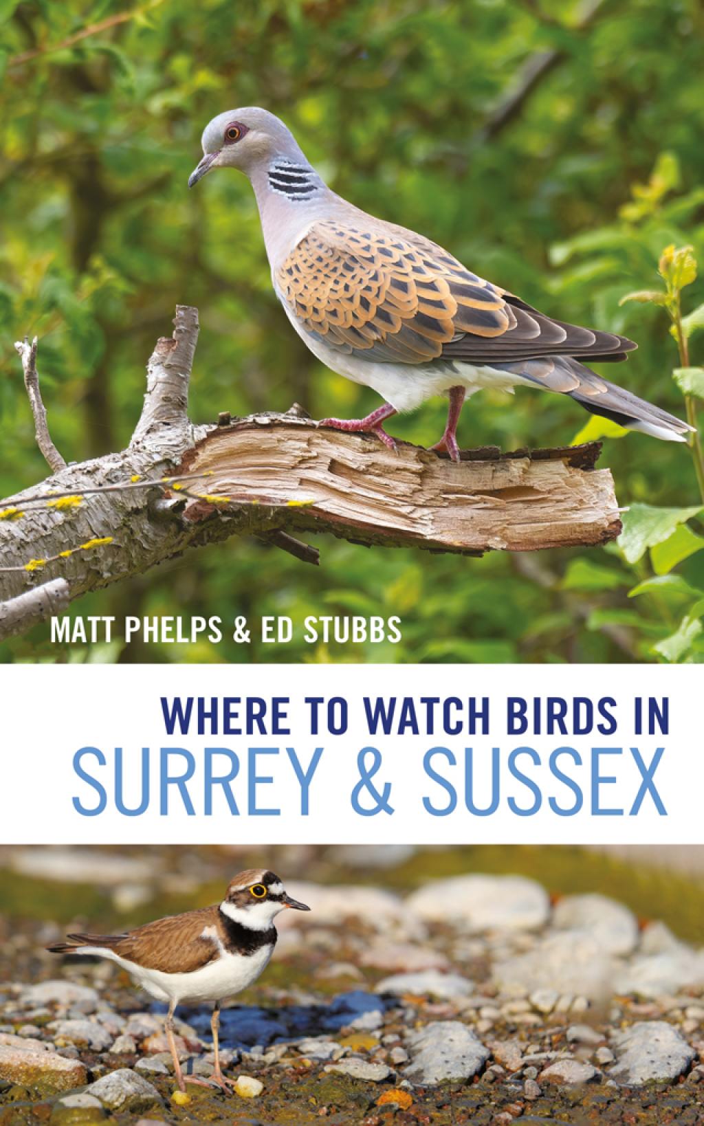 Where to Watch Birds in Surrey and Sussex 1st Edition â€“ PDF/EPUB Version Downloadable