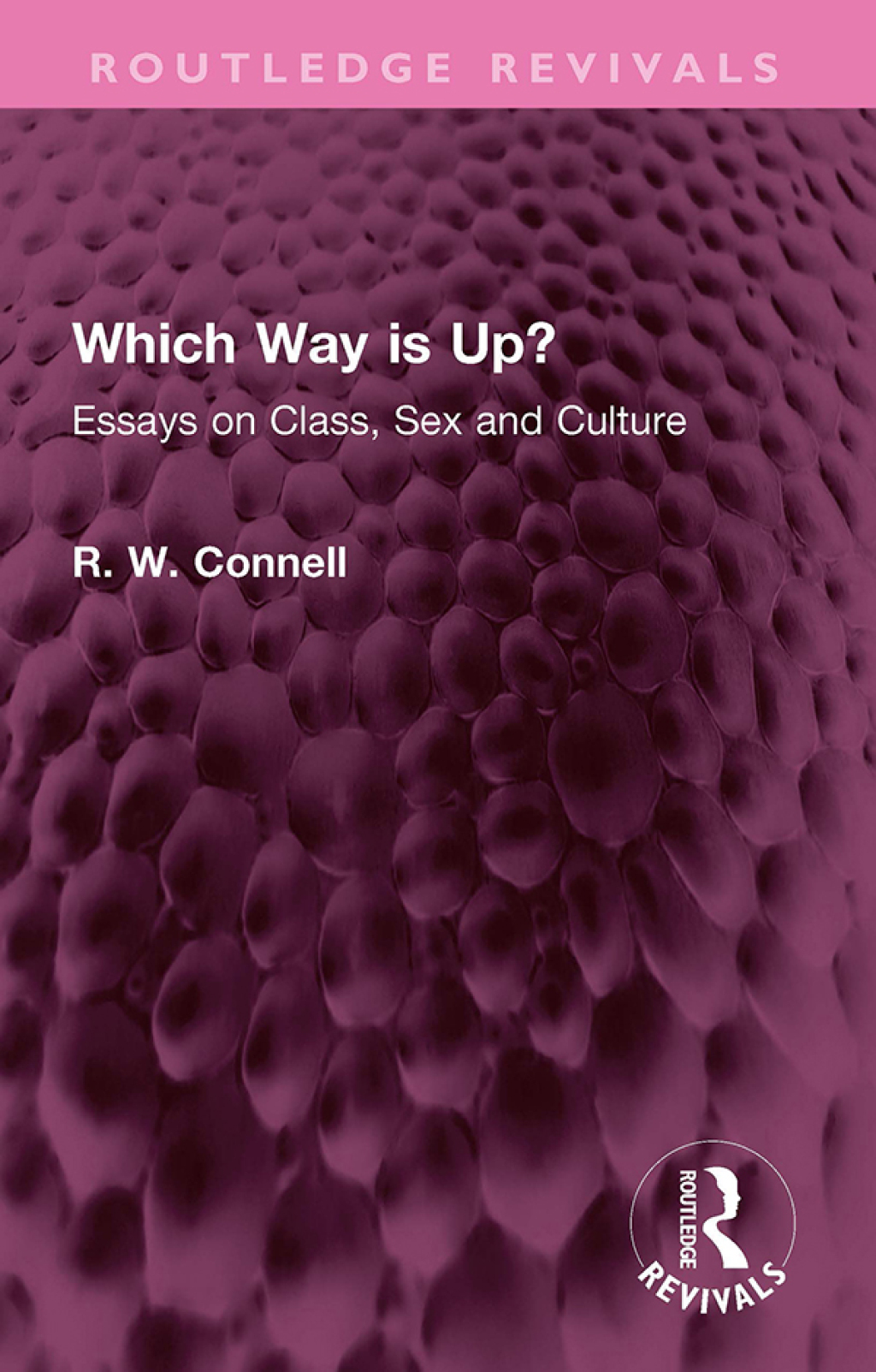 Which Way is Up? Essays on Class, Sex and Culture 1st Edition â€“ PDF/EPUB Version Downloadable