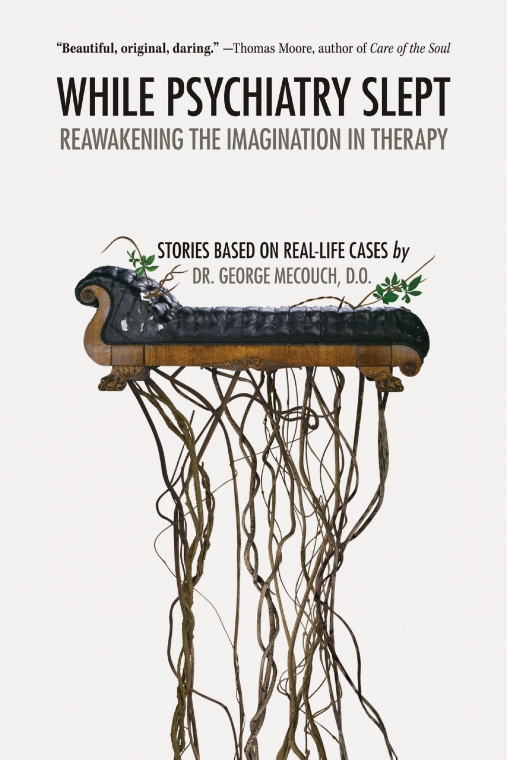While Psychiatry Slept Reawakening the Imagination in Therapy 1st Edition - (PDF/EPUB Version)