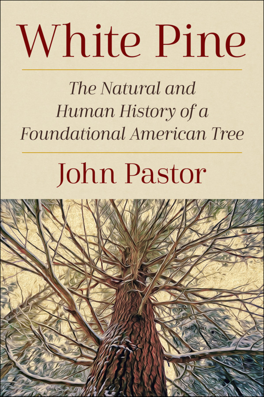White Pine The Natural and Human History of a Foundational American Tree - (PDF/EPUB Version)