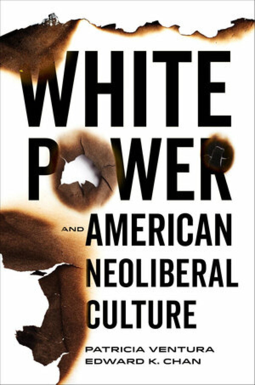 White Power and American Neoliberal Culture 1st Edition - (PDF/EPUB Version)