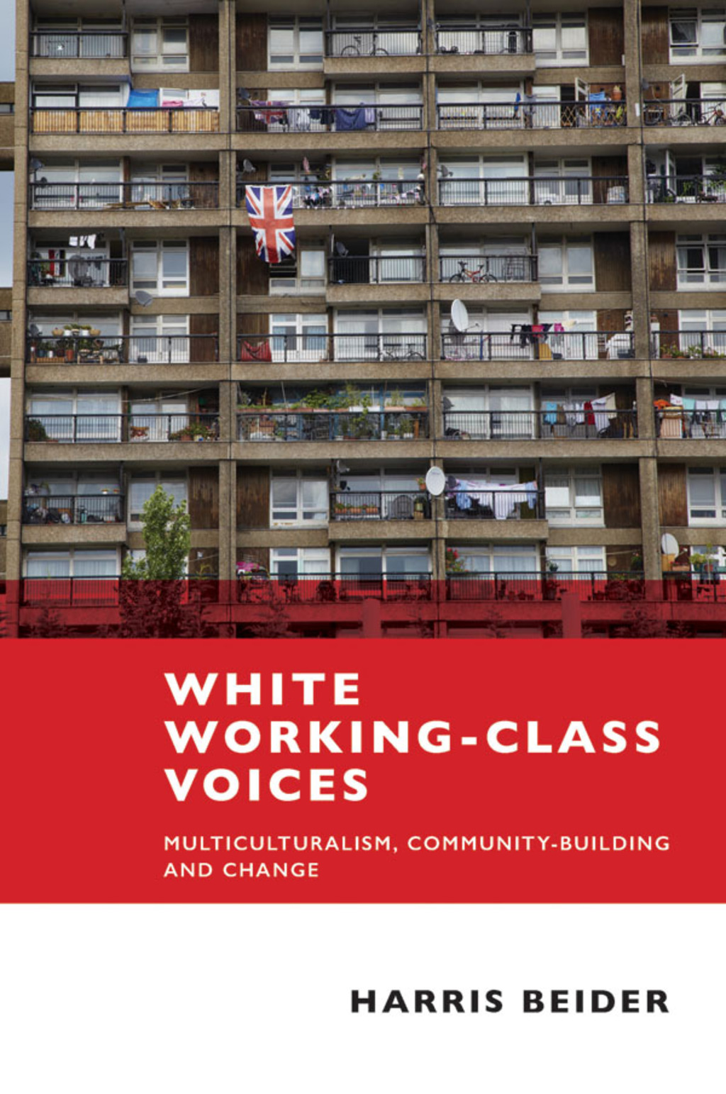 White working-class voices  â€“ PDF/EPUB Version Downloadable