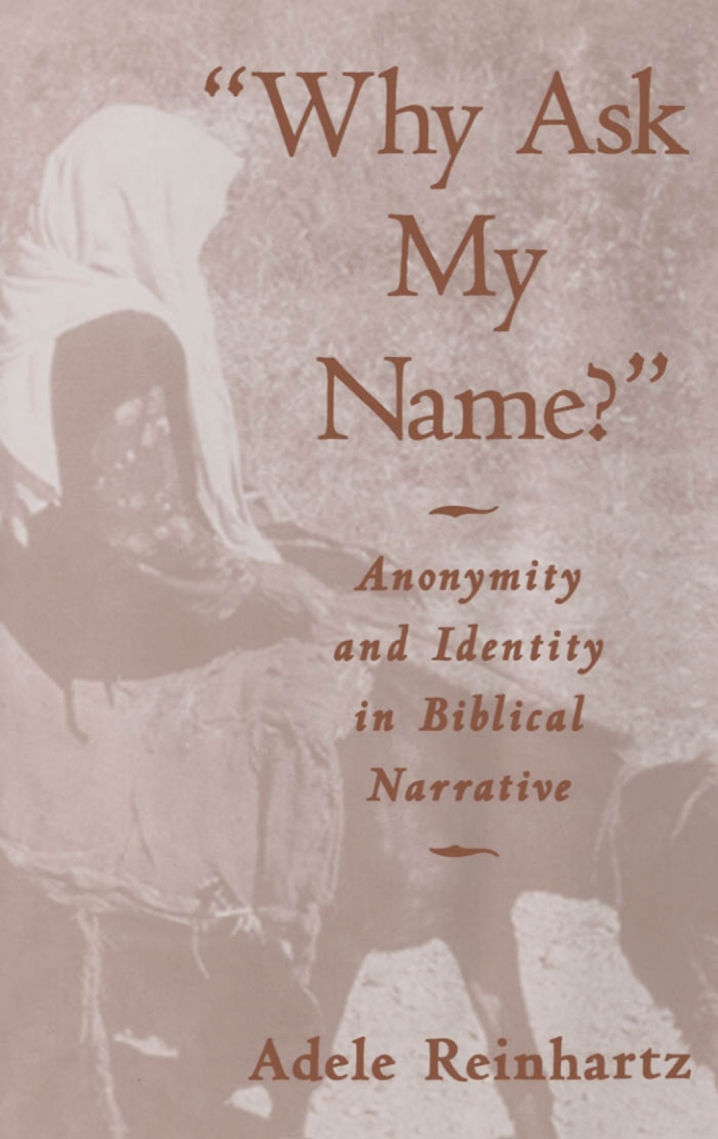"Why Ask My Name?" Anonymity and Identity in Biblical Narrative  â€“ PDF/EPUB Version Downloadable