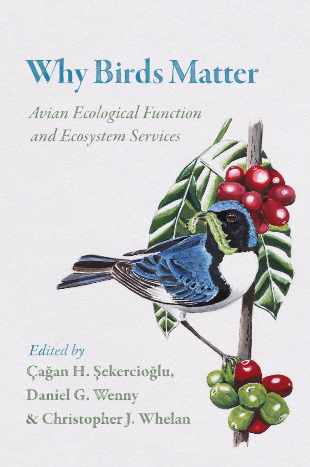 Why Birds Matter Avian Ecological Function and Ecosystem Services 1st Edition â€“ PDF/EPUB Version Downloadable
