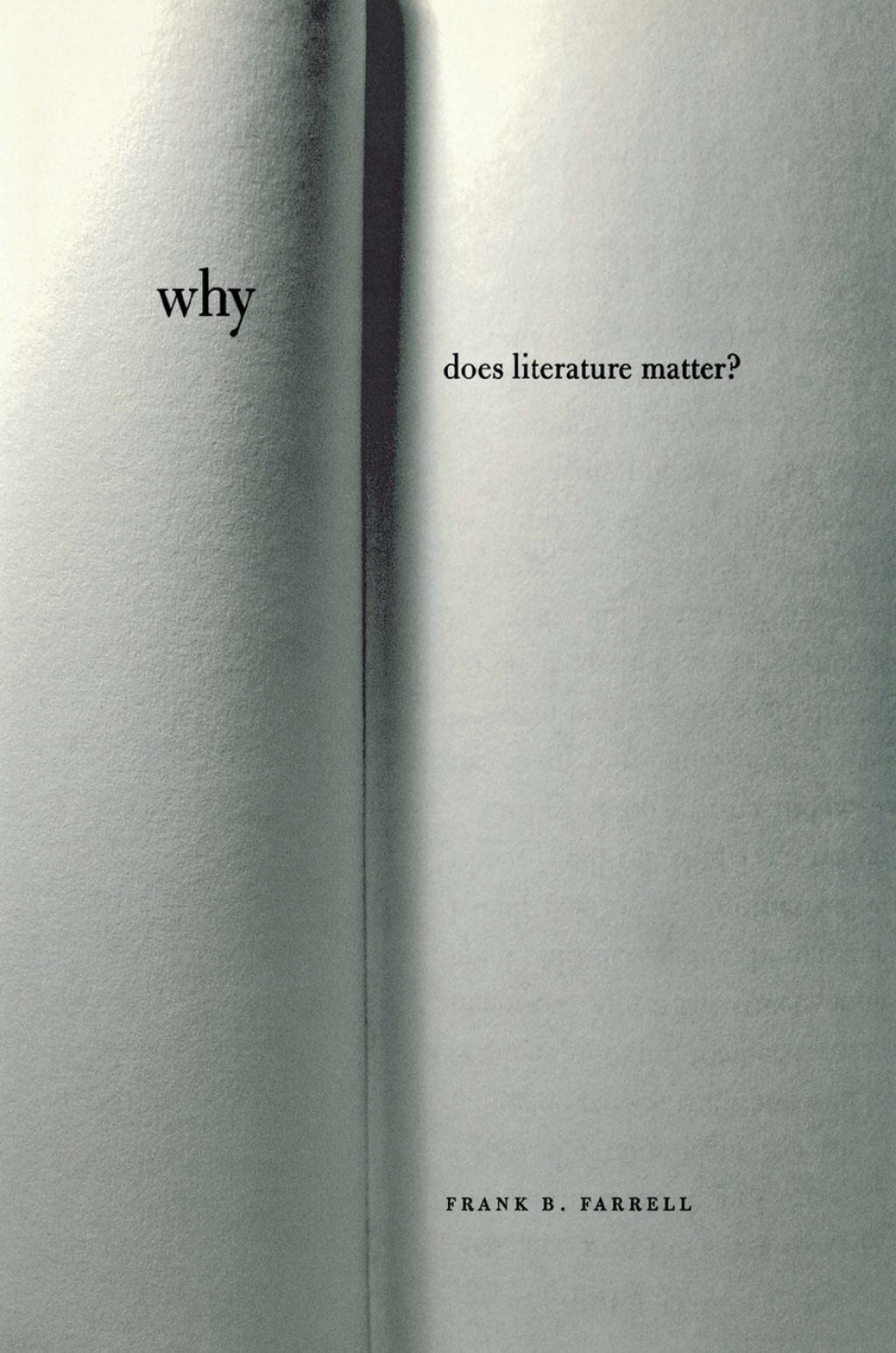 Why Does Literature Matter?  â€“ PDF/EPUB Version Downloadable