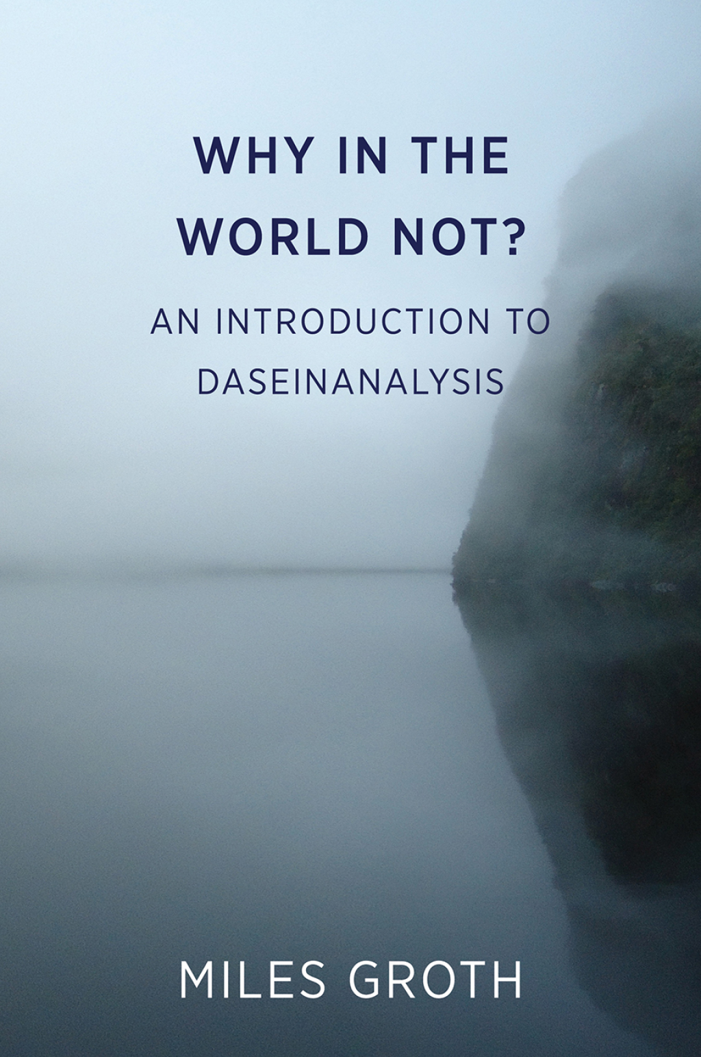 Why in the World Not? An Introduction to Daseinanalysis  â€“ PDF/EPUB Version Downloadable