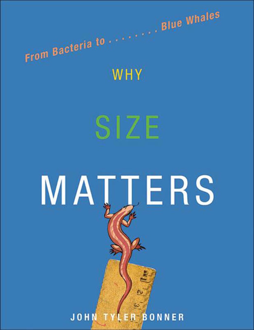 Why Size Matters From Bacteria to Blue Whales - (PDF/EPUB Version)