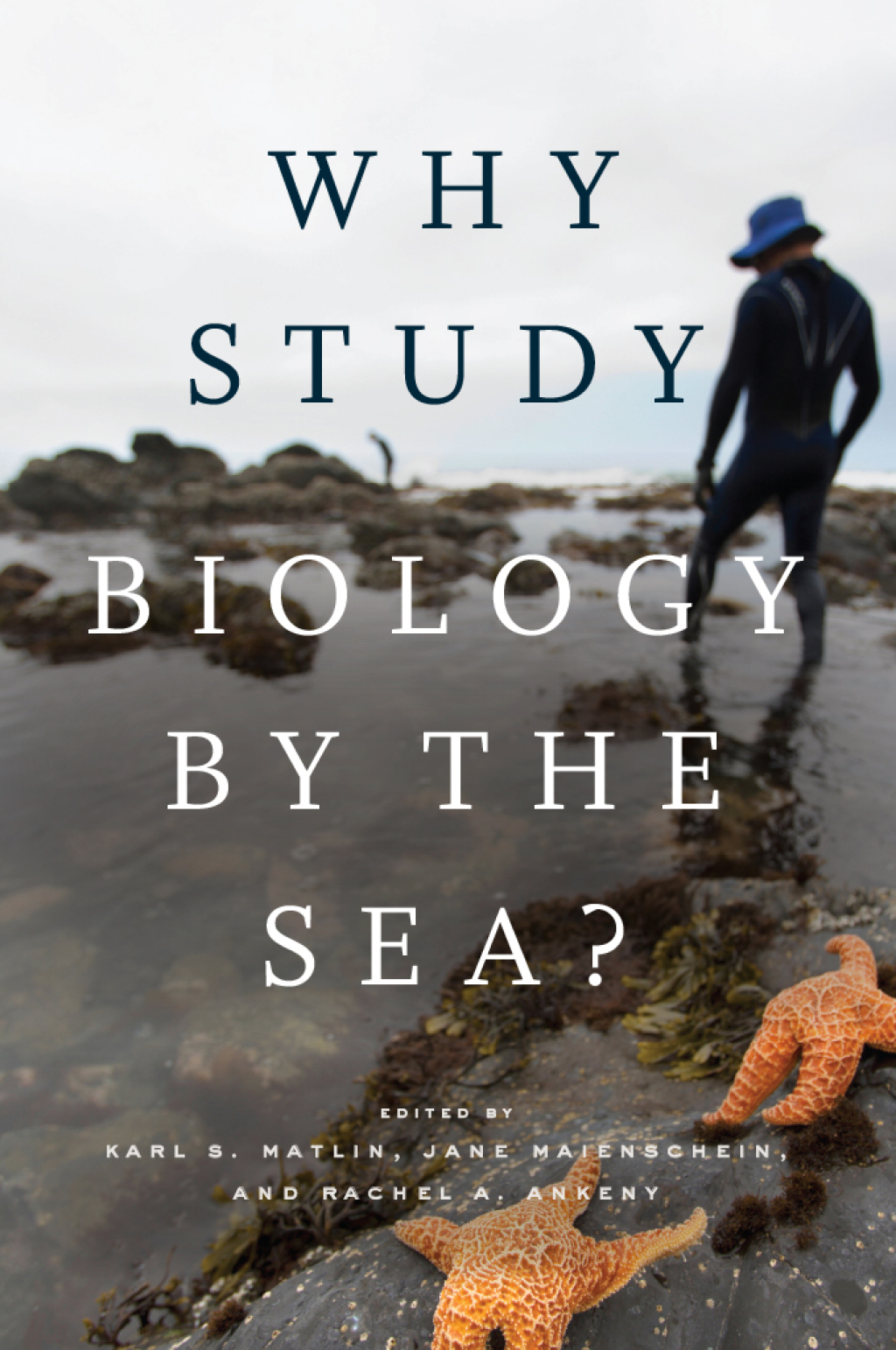 Why Study Biology by the Sea? 1st Edition â€“ PDF/EPUB Version Downloadable