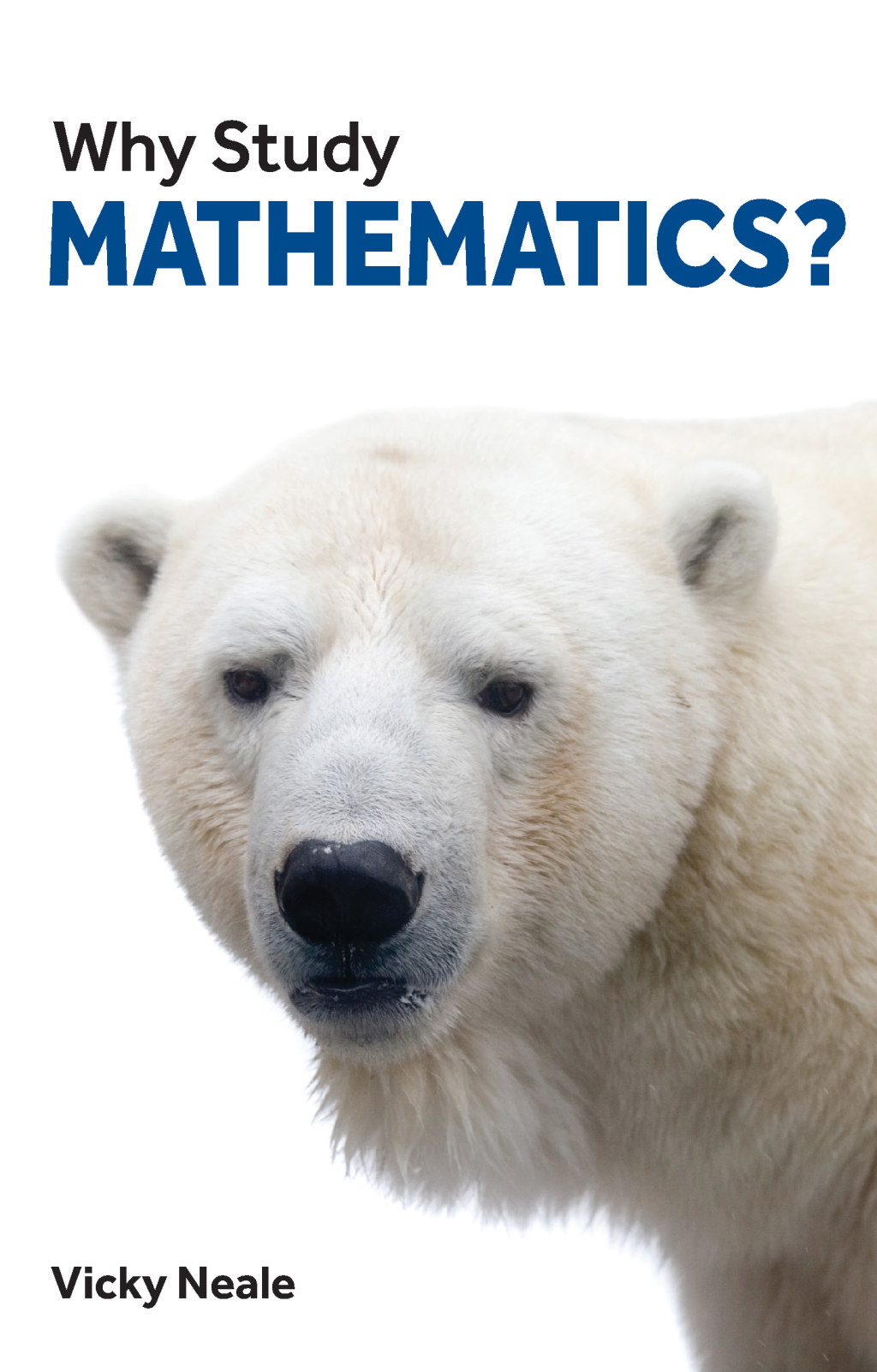 Why Study Mathematics? 1st Edition - (PDF/EPUB Version)
